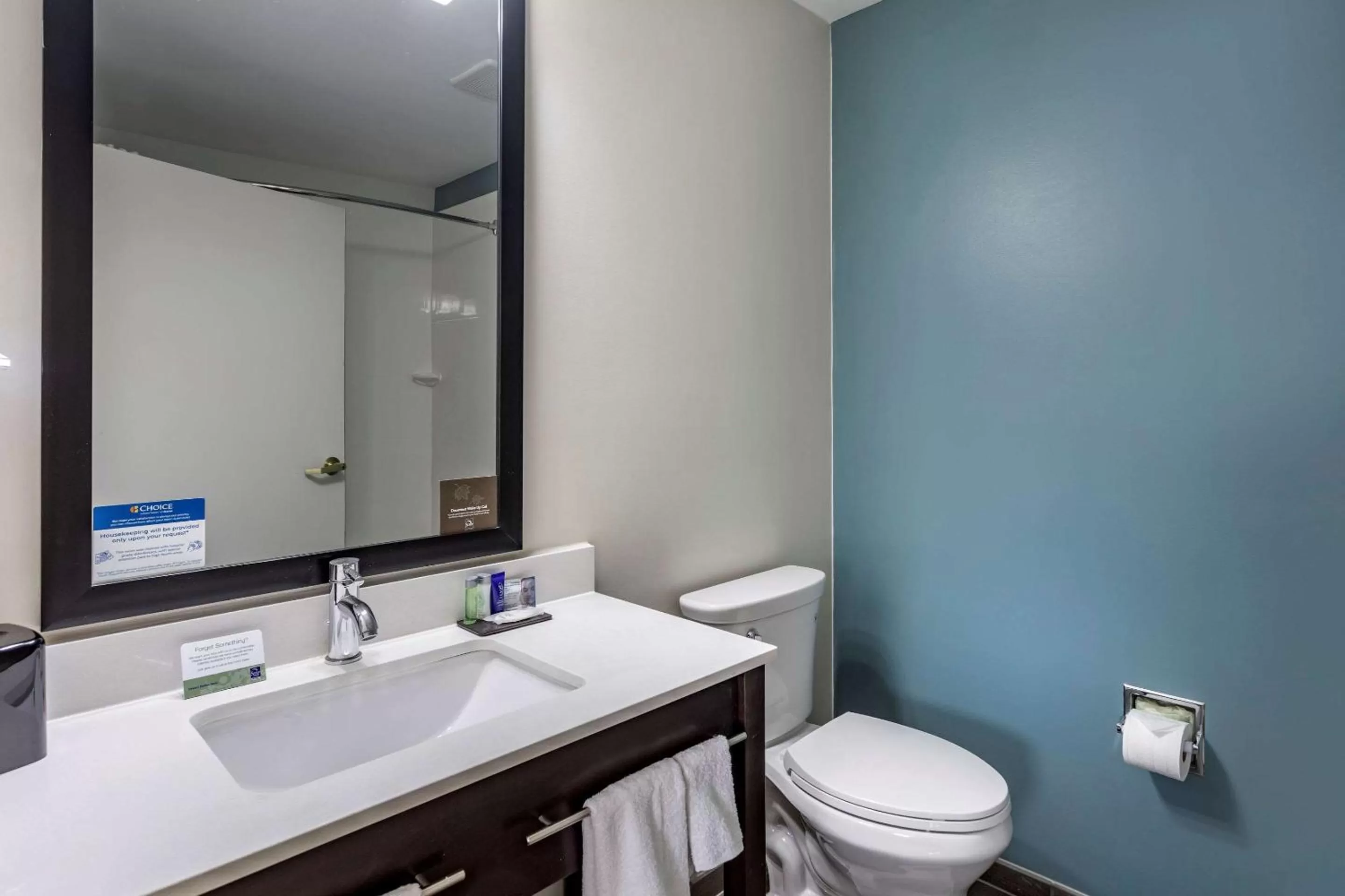 Bathroom in Sleep Inn & Suites Lebanon - Nashville Area