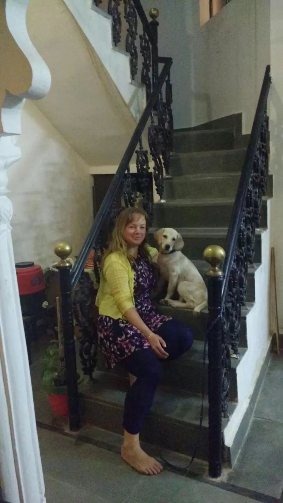 Pets in Hotel Bundi House