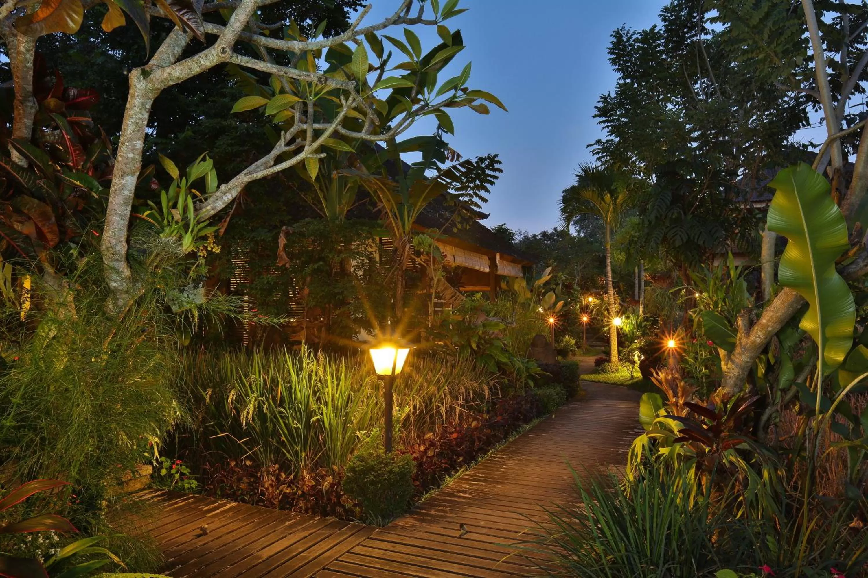 Other in Bliss Ubud Spa Resort