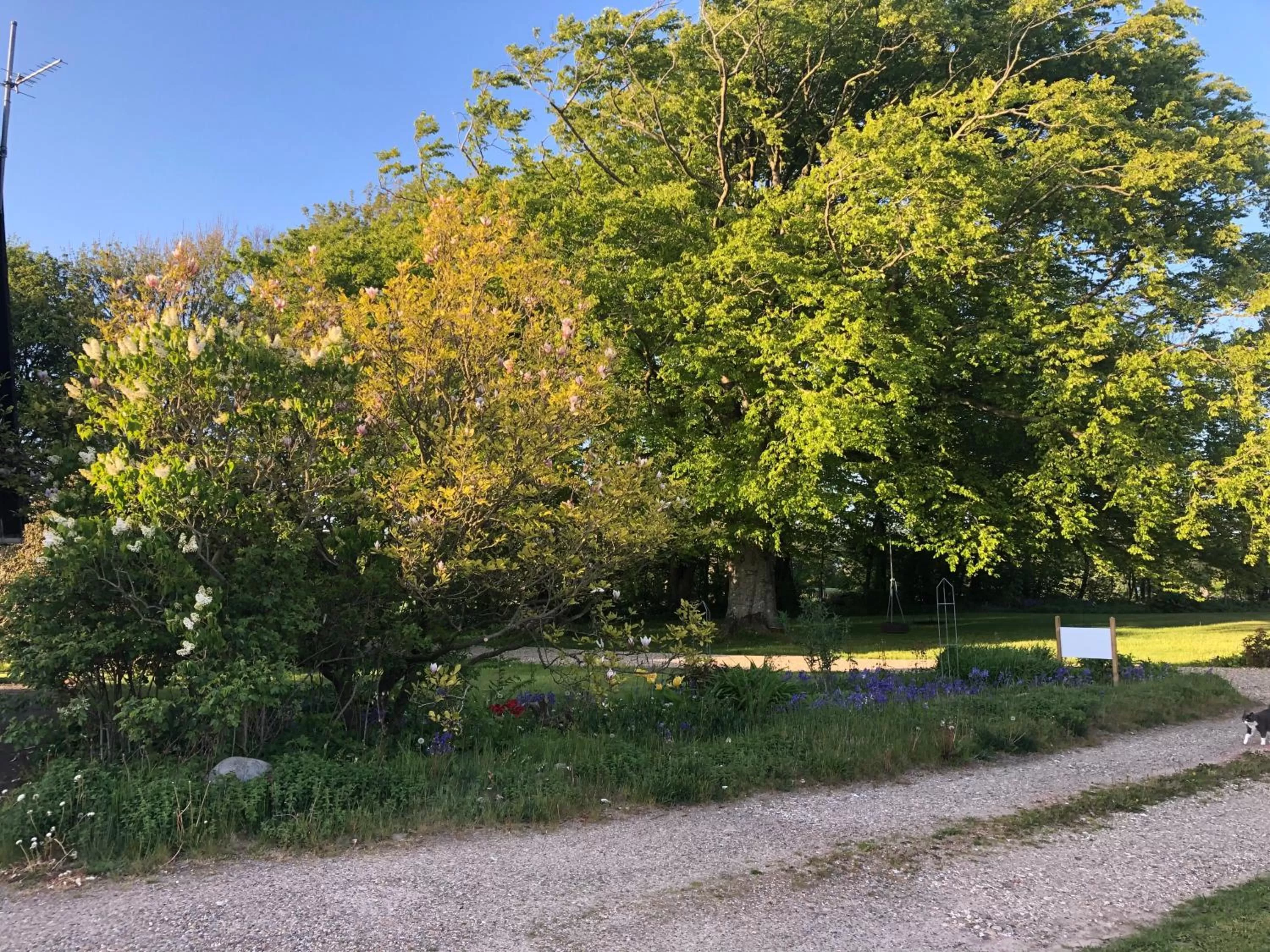 Garden in Landevejens B&B Holstebro