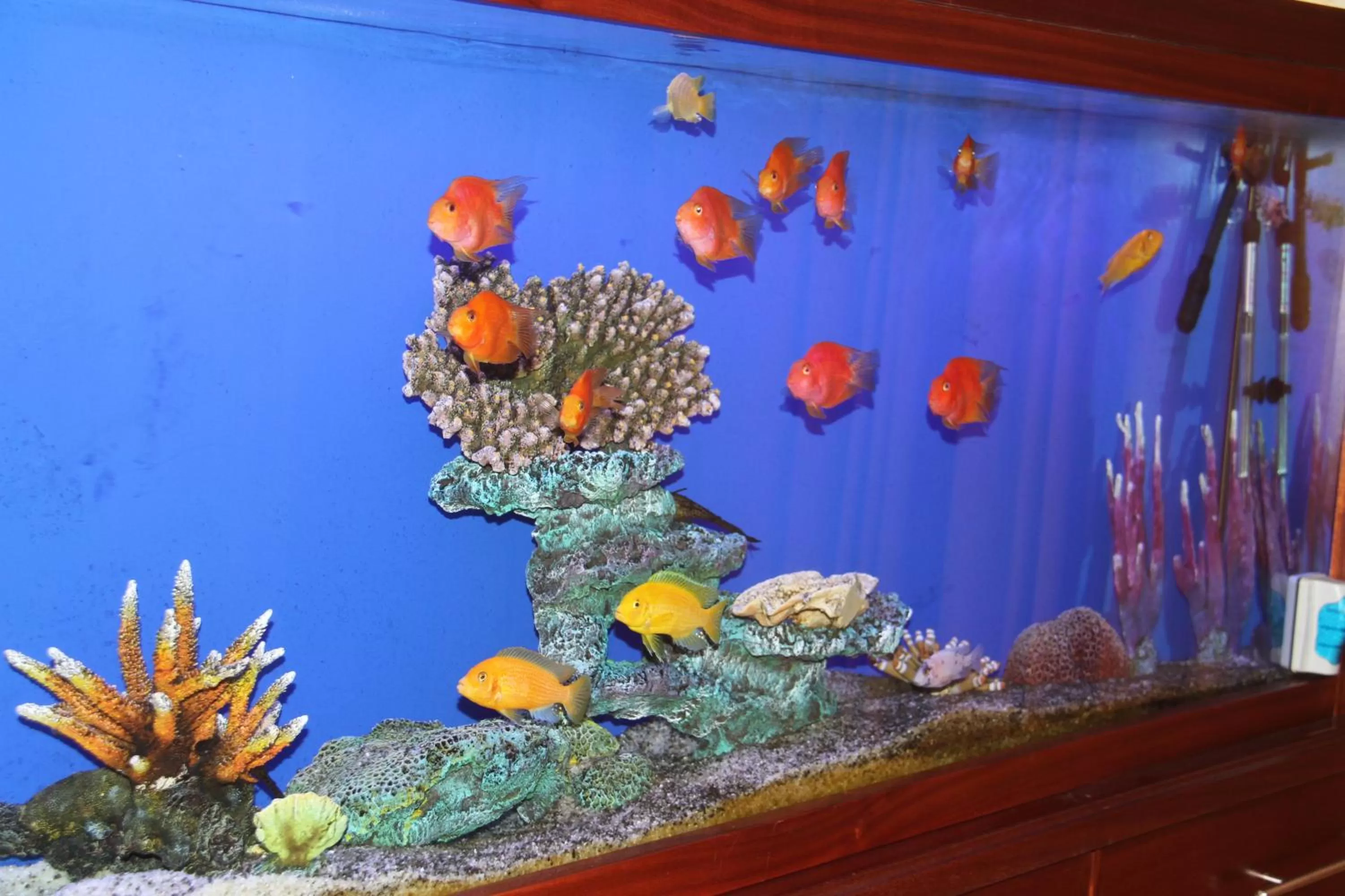 Lobby or reception in Saleem Afandi Hotel