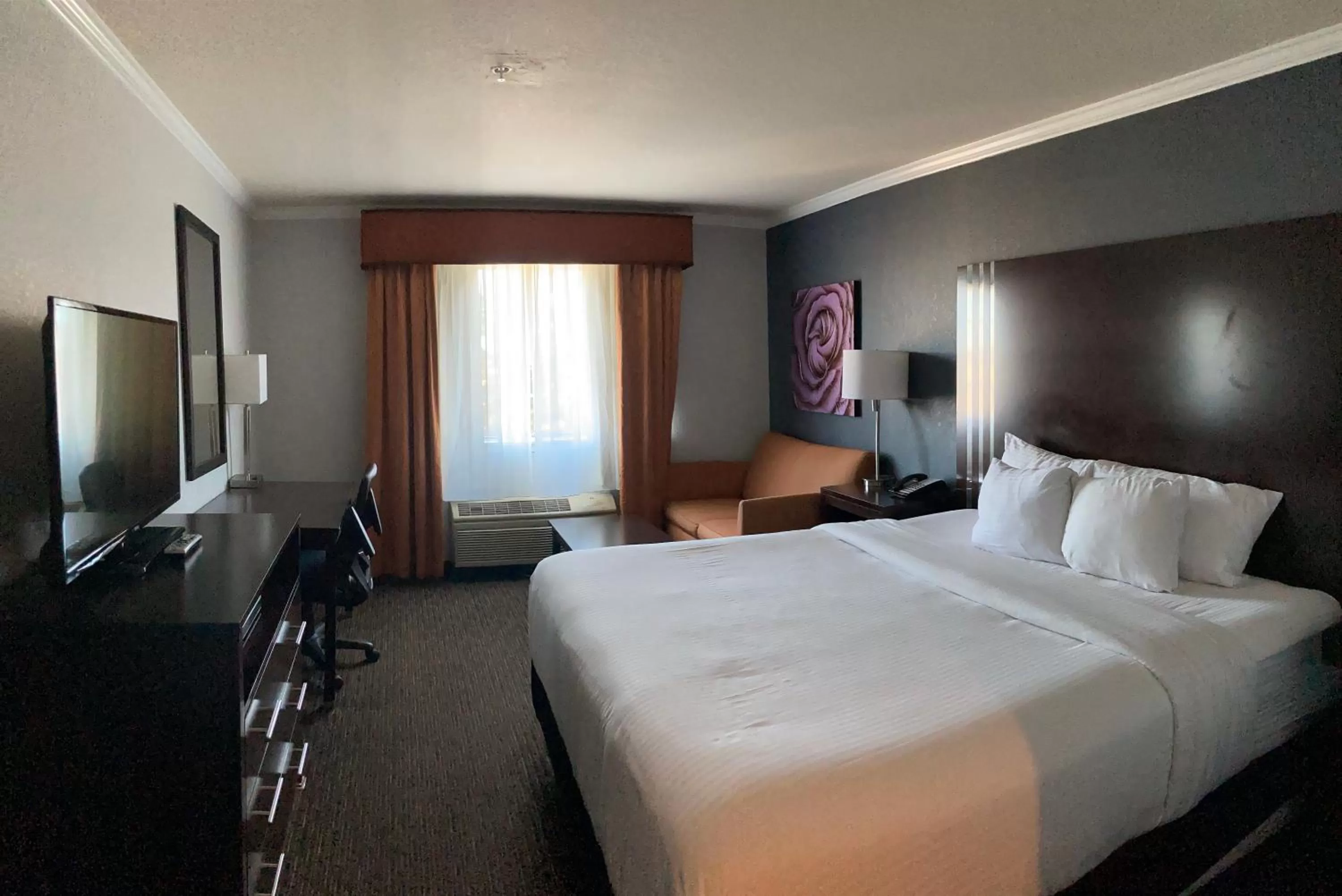 Photo of the whole room, Bed in La Quinta by Wyndham Davis