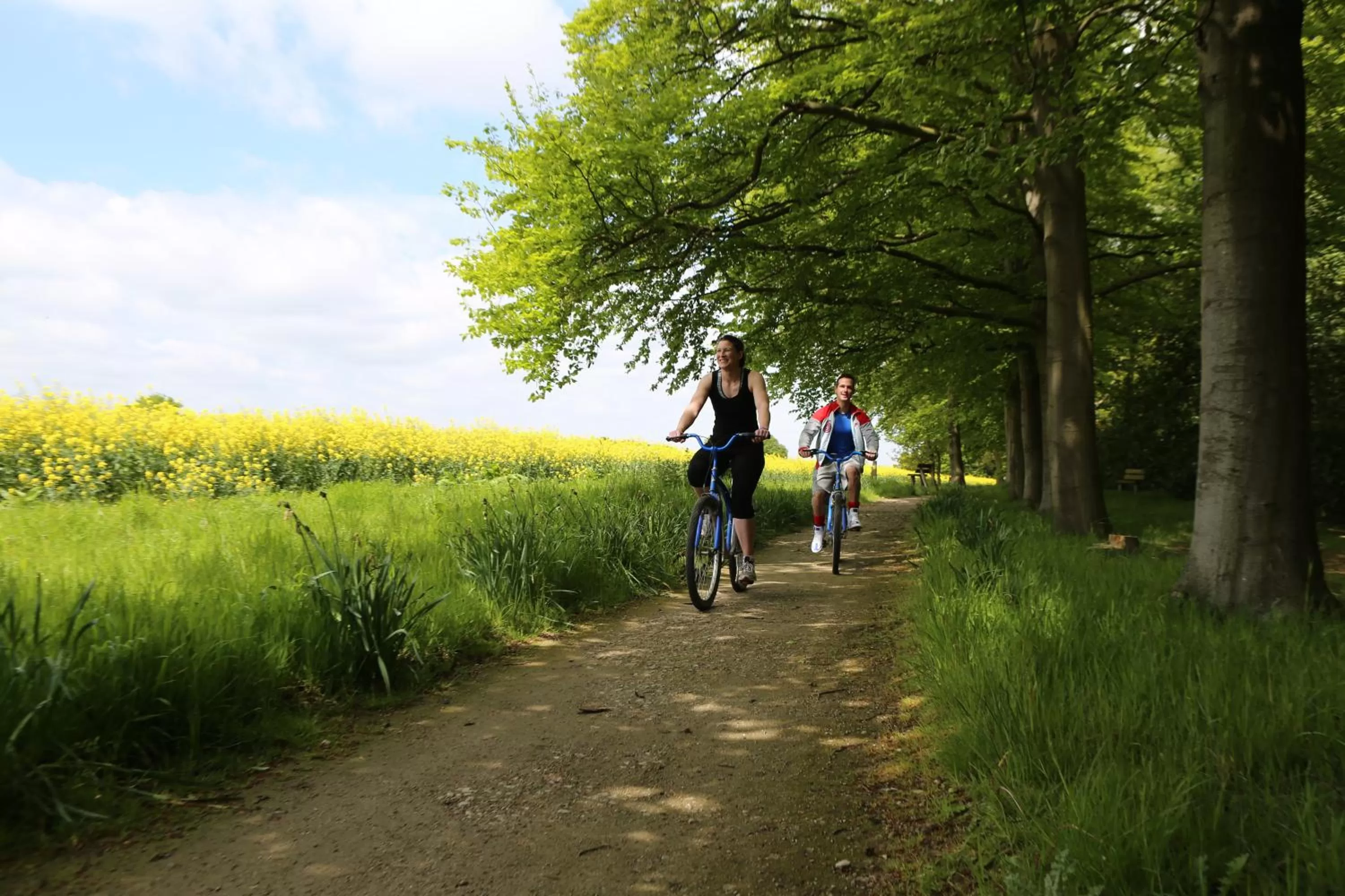 Cycling, Biking in Hoar Cross Hall