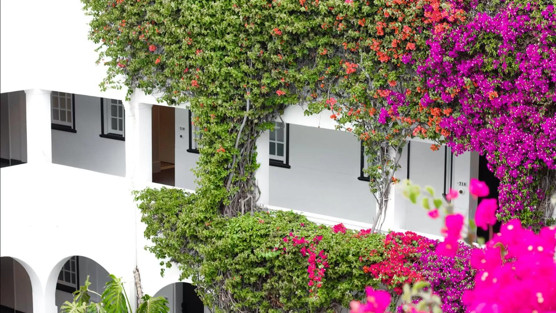 Property building in The Winchester Hotel by NEWMARK