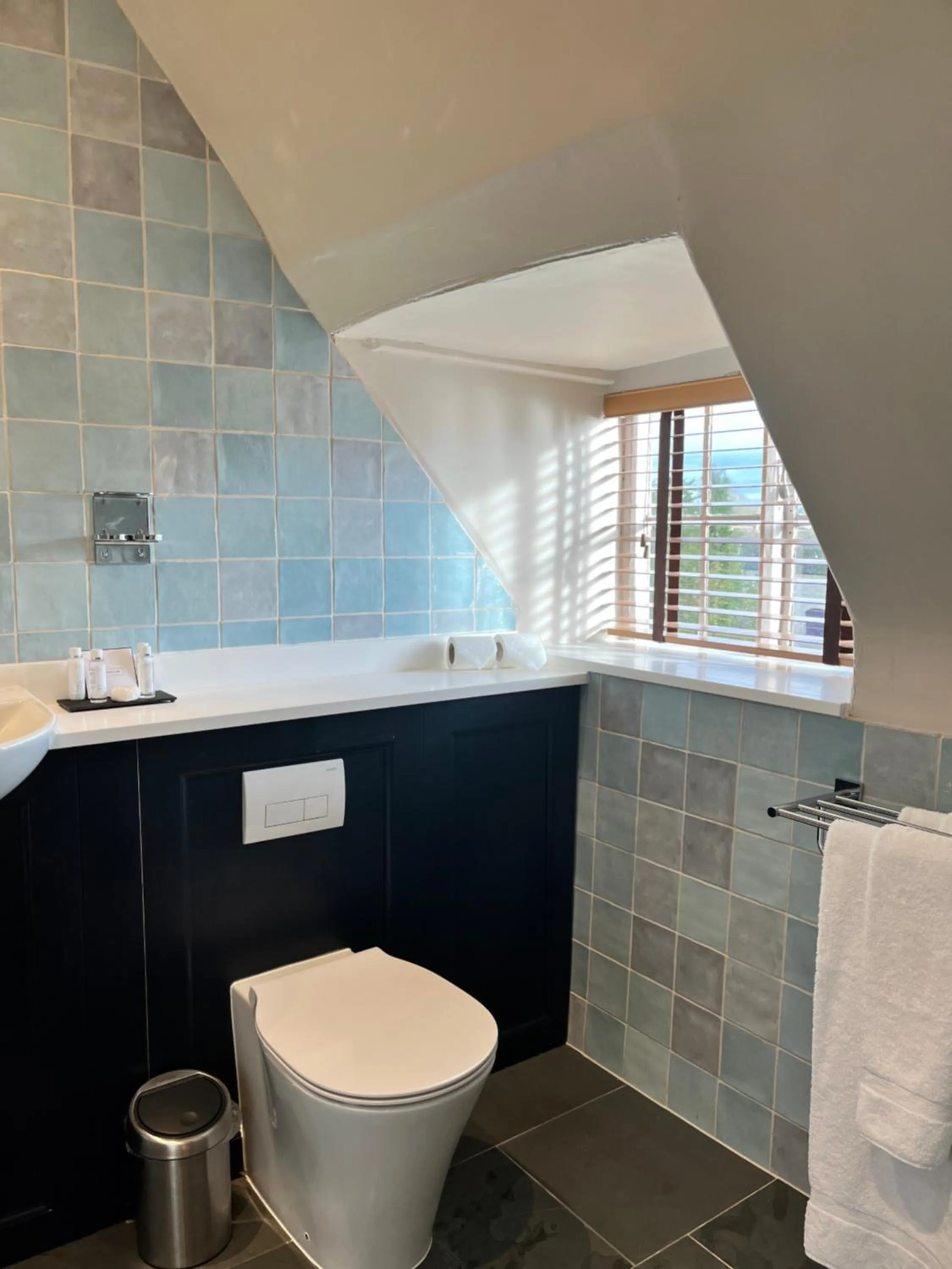 Toilet in The Haycock Manor Hotel