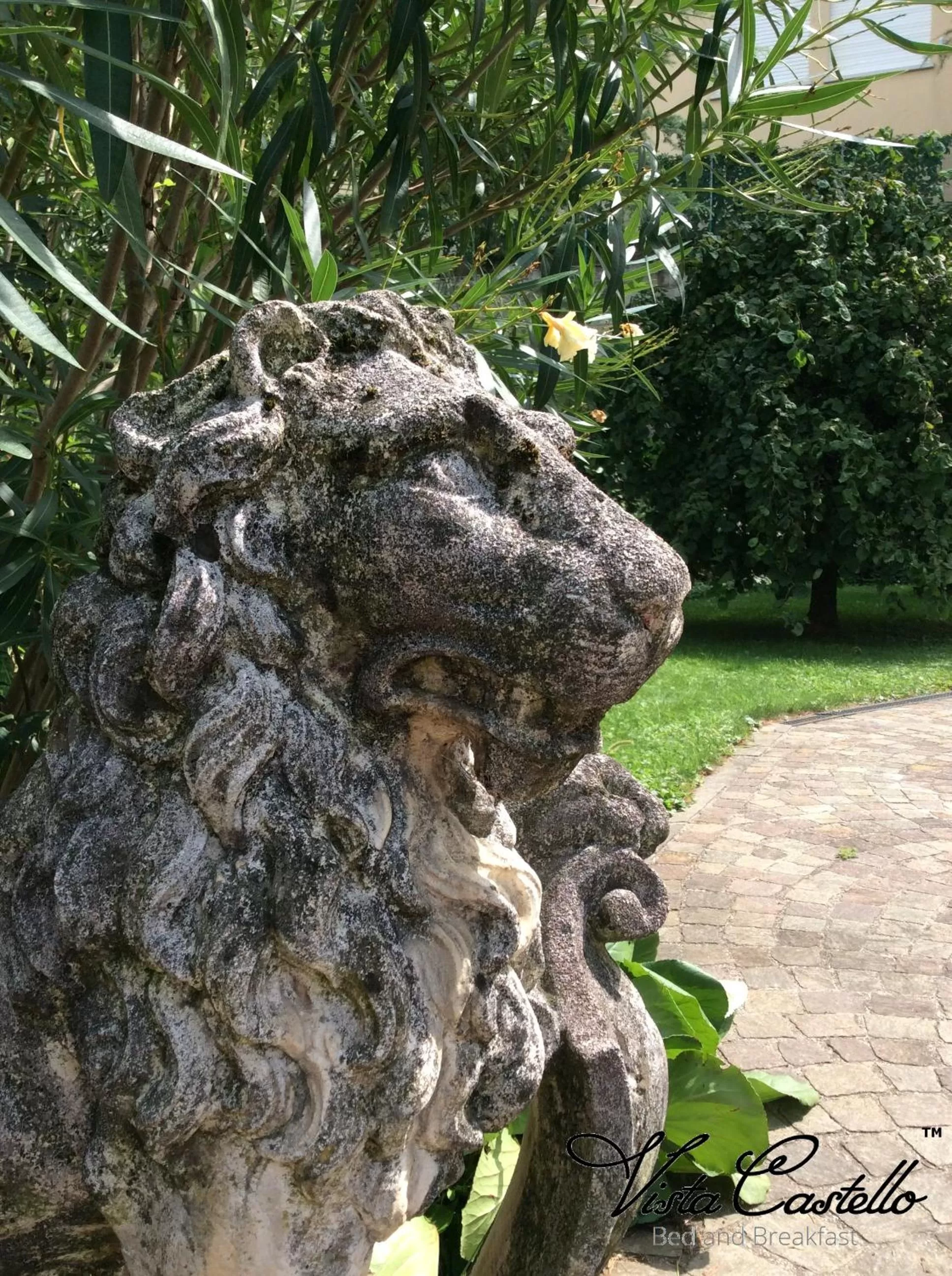 Summer in Vista Castello