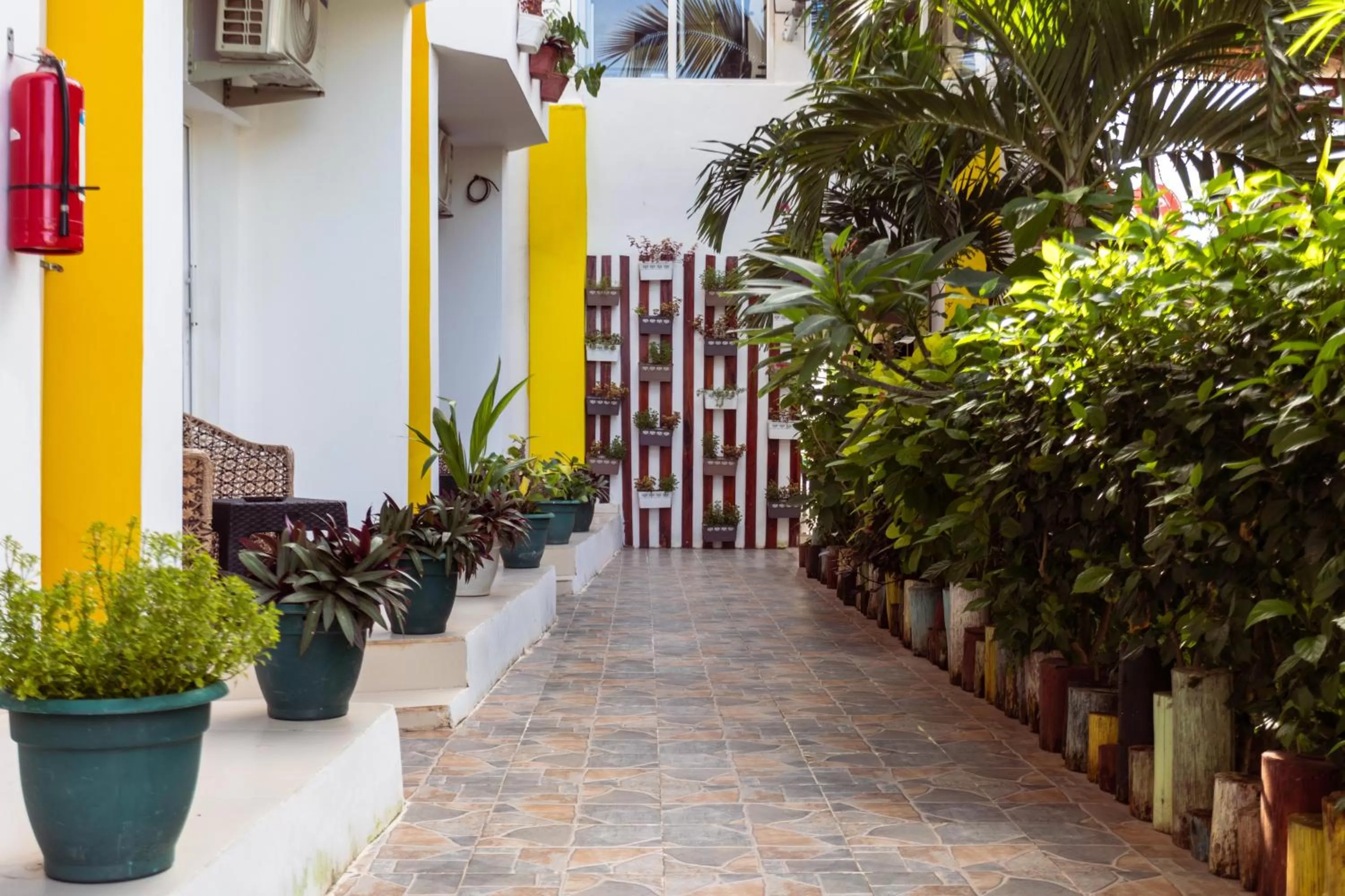 Garden in Canary Nungwi Hotel & Free SPA