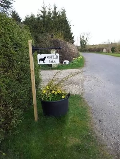 Street view in Bed and Breakfast Ashfield