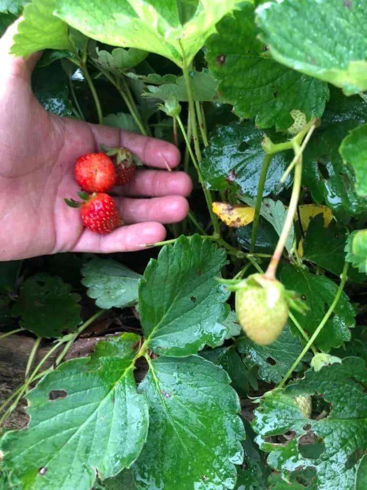 Property building in POUSADA CHARLOTTE