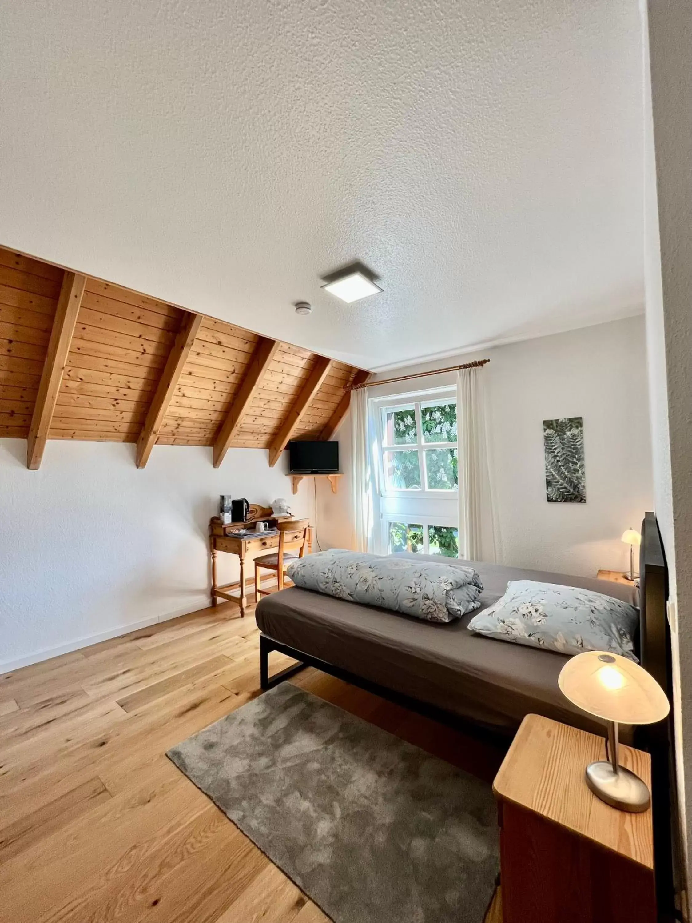 Double Room in Das Landhotel zur Mühle Double Room in Das Landhotel zur Mühle