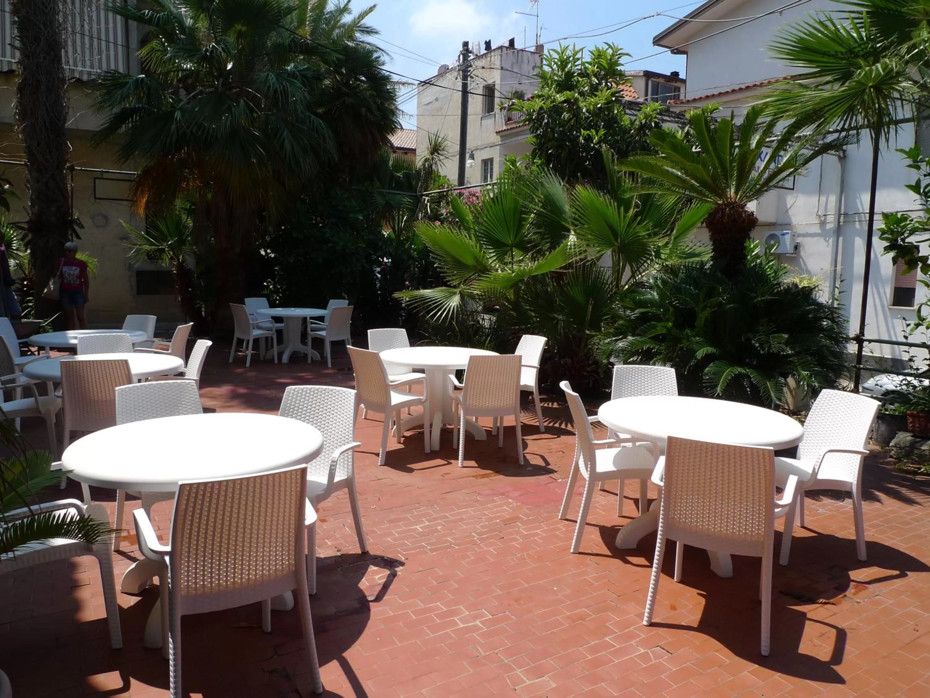 Garden in Hotel Alexander