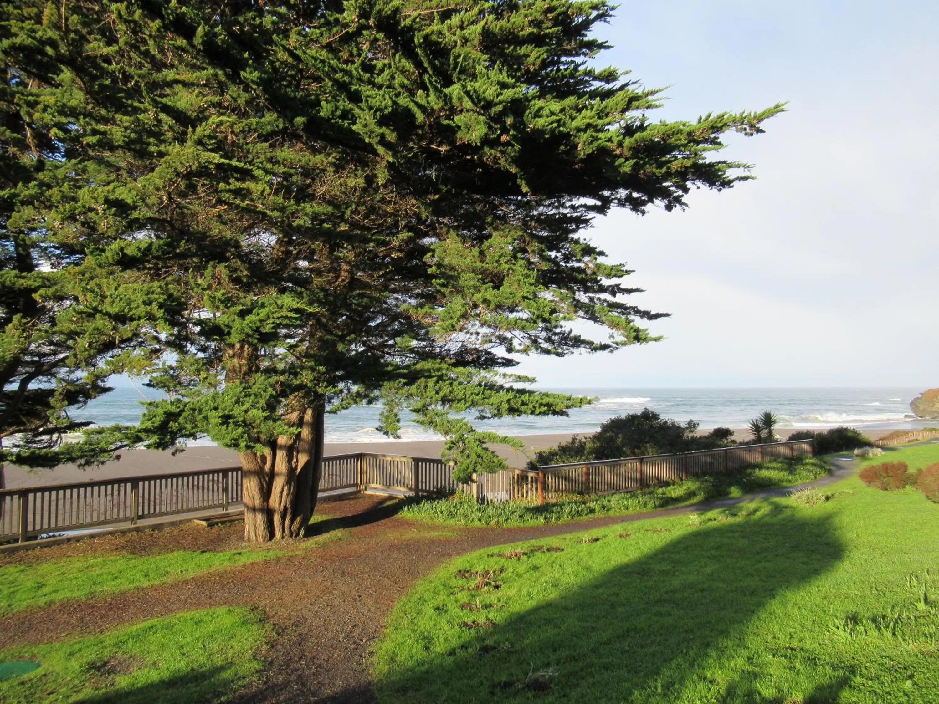 Activities in Gualala Country Inn