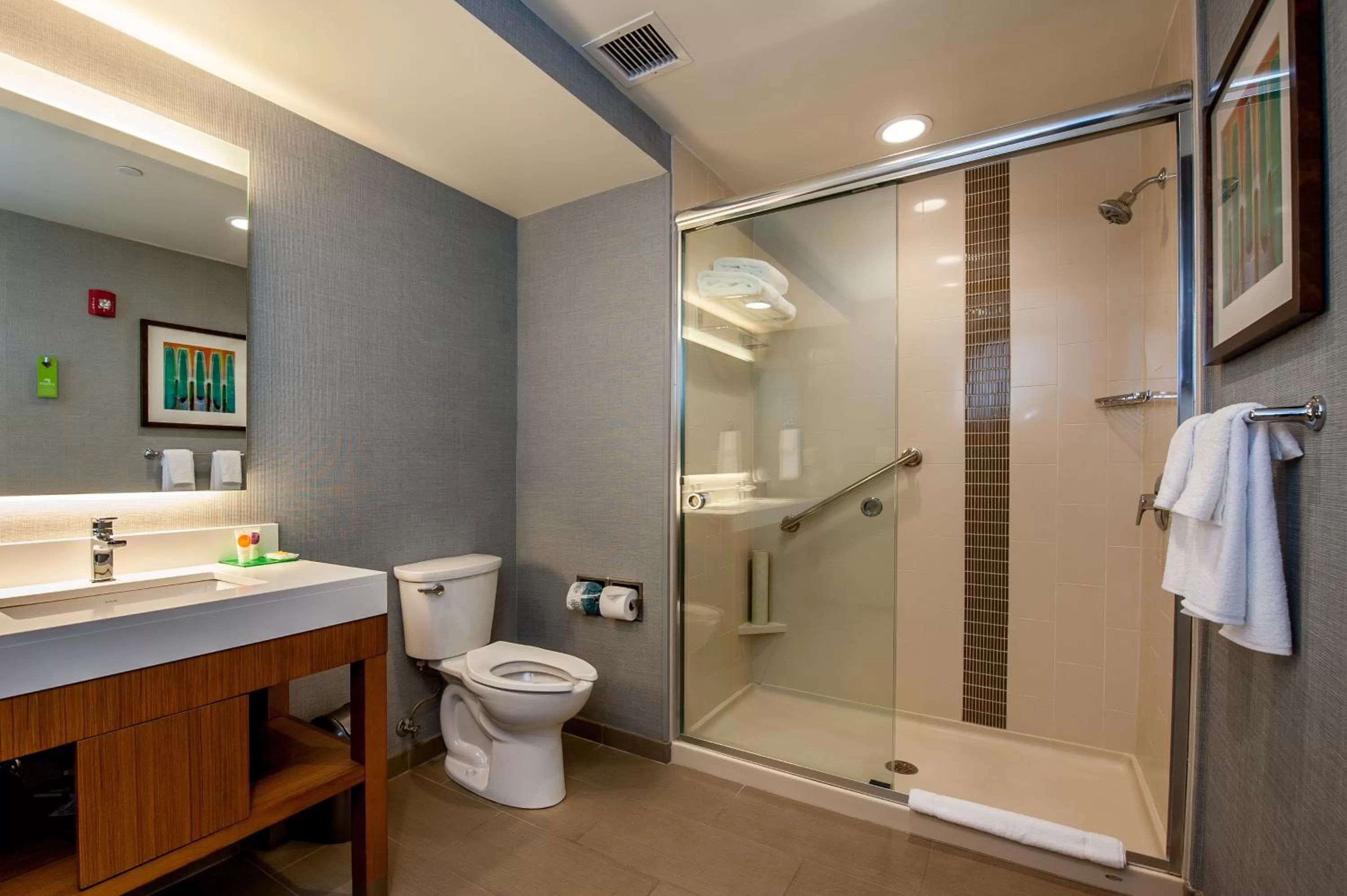 One-Bedroom Suite with Roll-In Shower - Disability Access in Hyatt Place Bowling Green