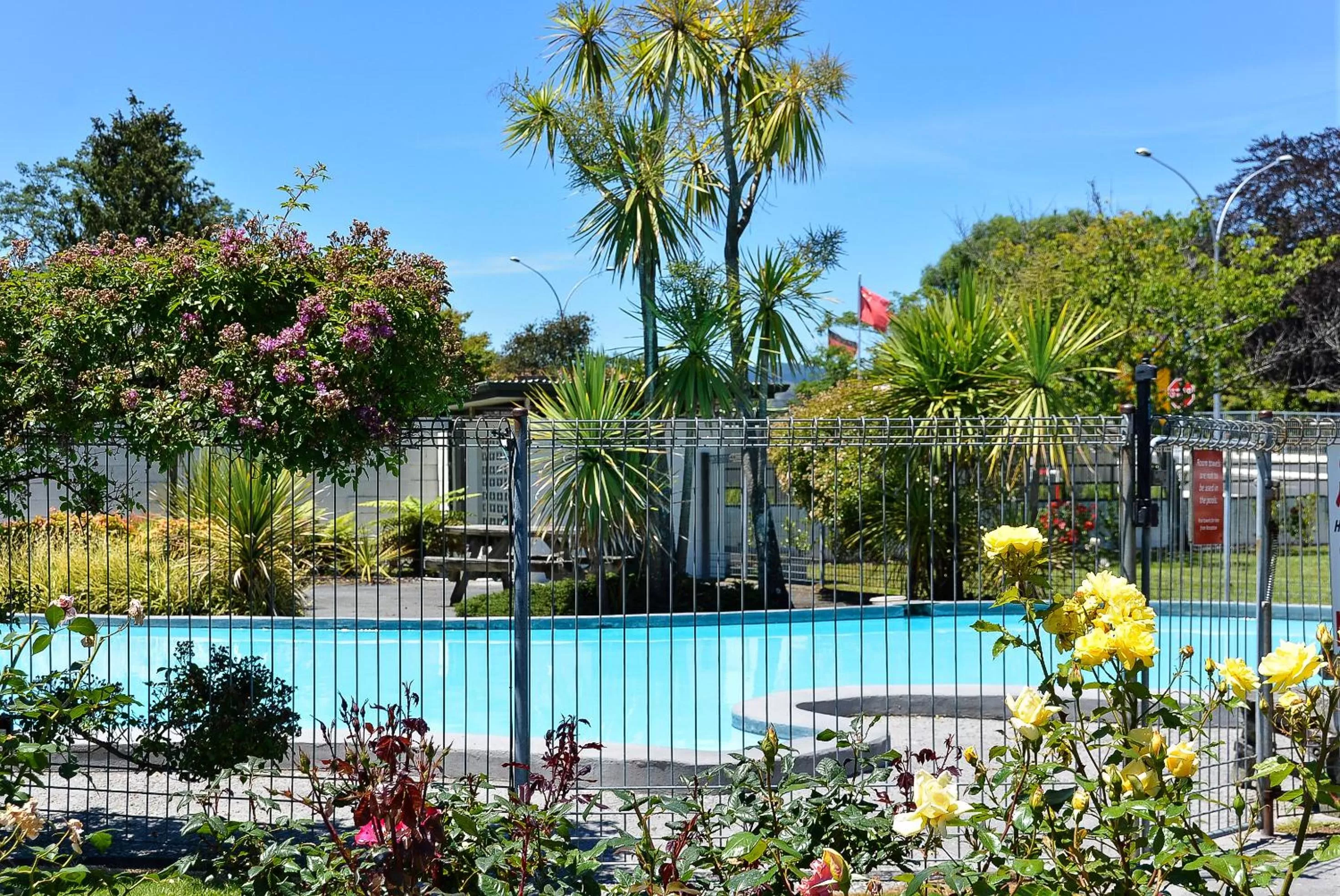 Swimming pool in ASURE Cleveland Rotorua
