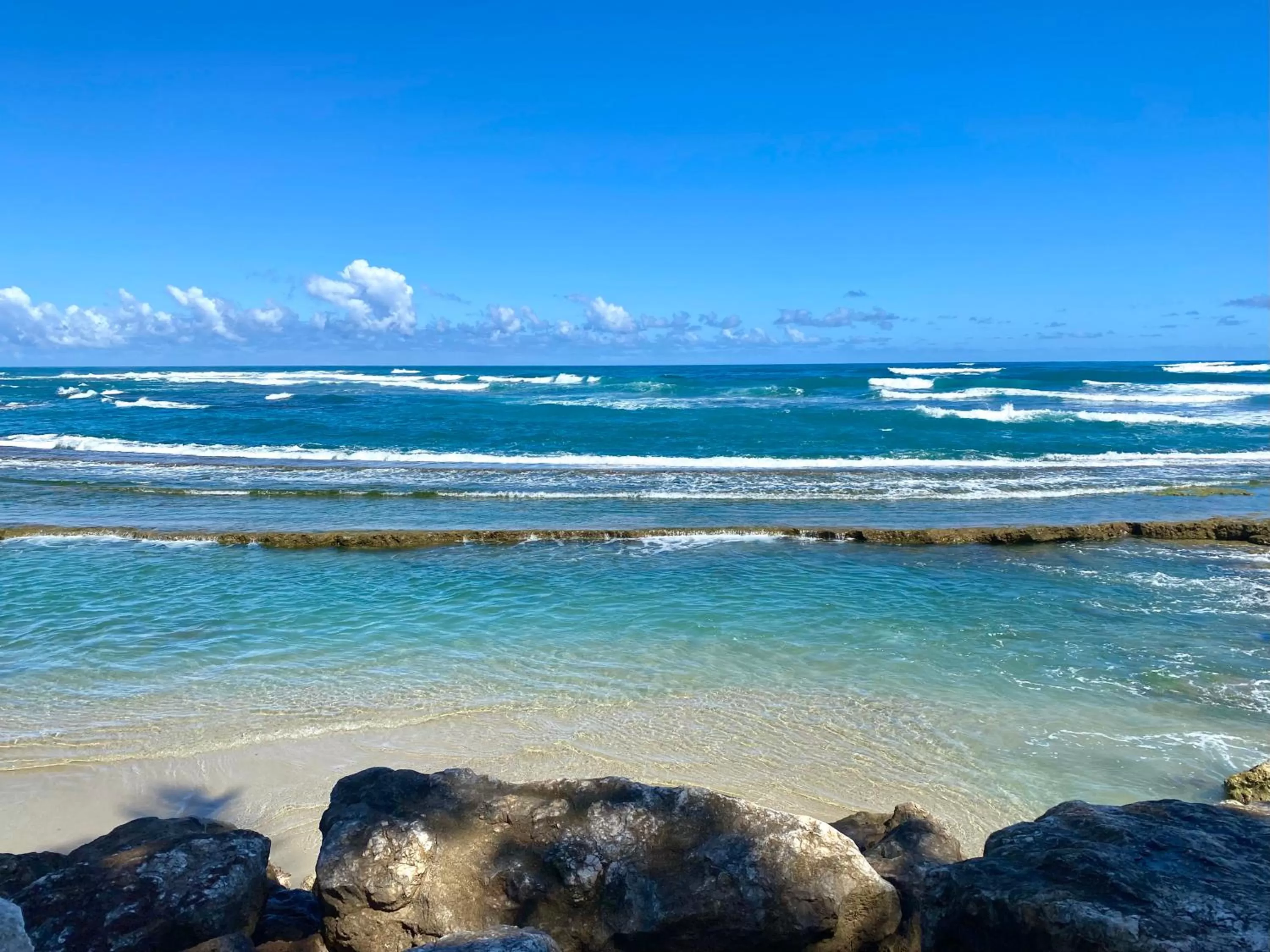 Natural landscape in Hotel Alegria