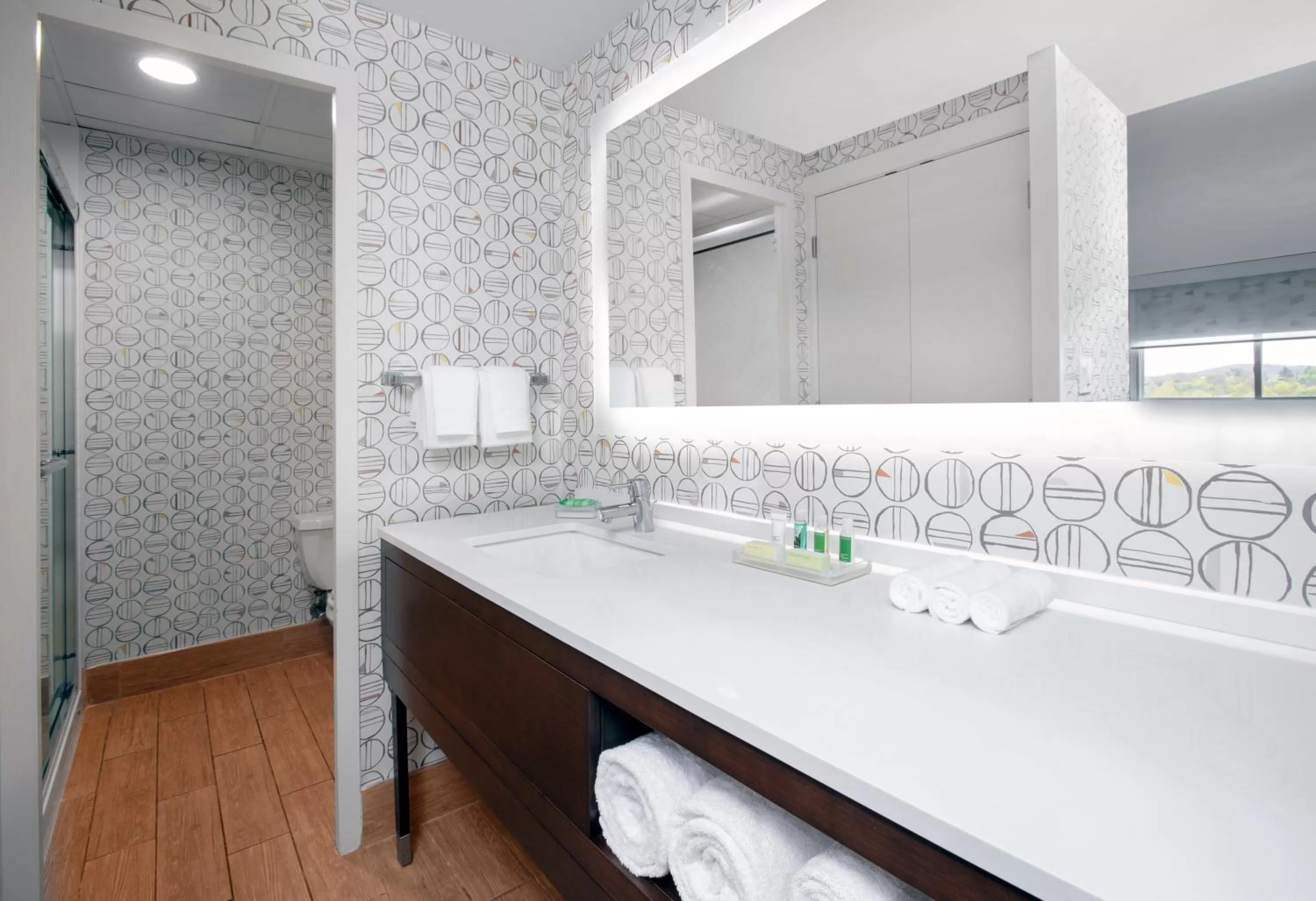 Bathroom in Holiday Inn Binghamton-Downtown Hawley Street by IHG