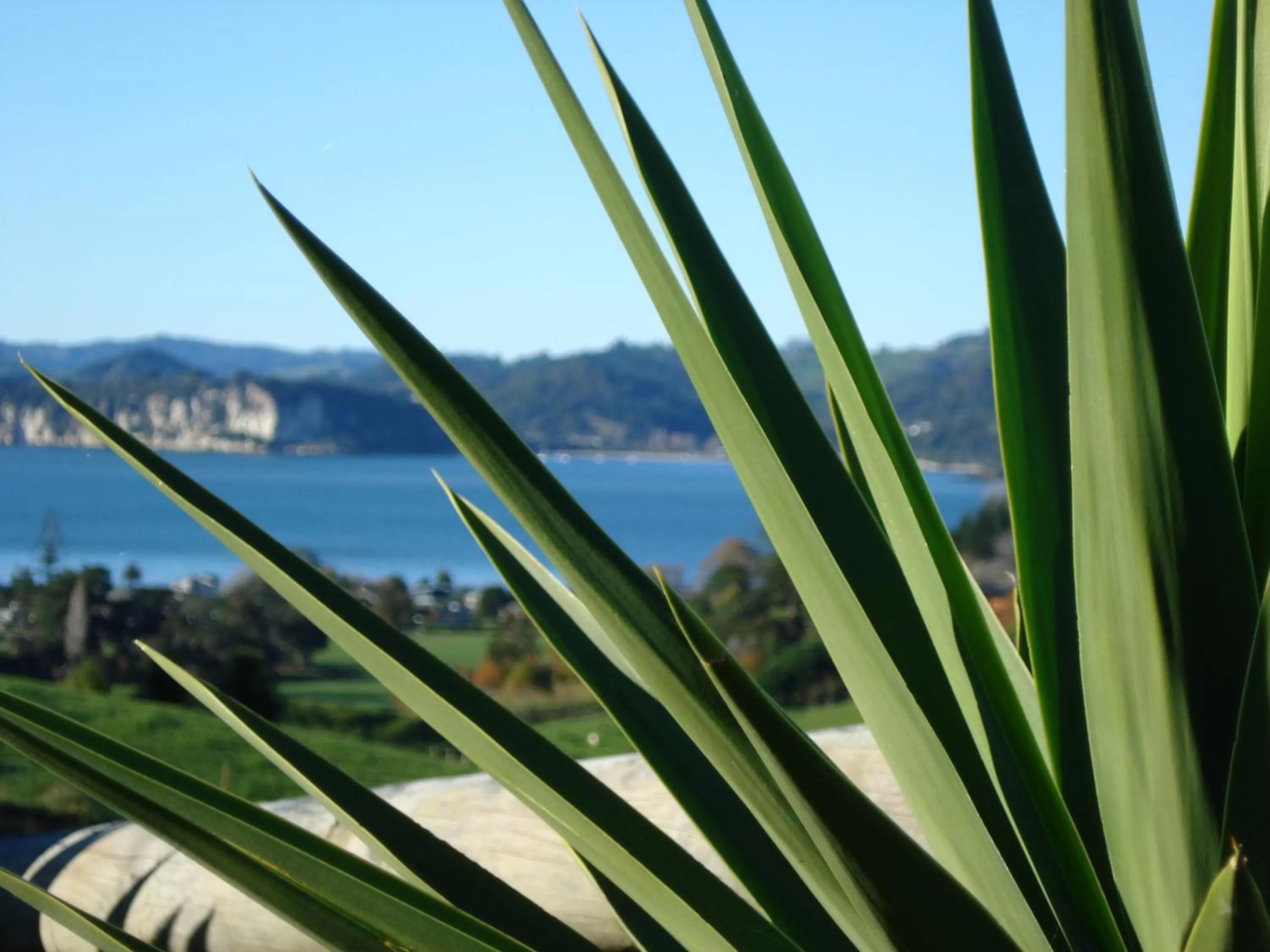 View (from property/room) in Ohuka Place Homestay