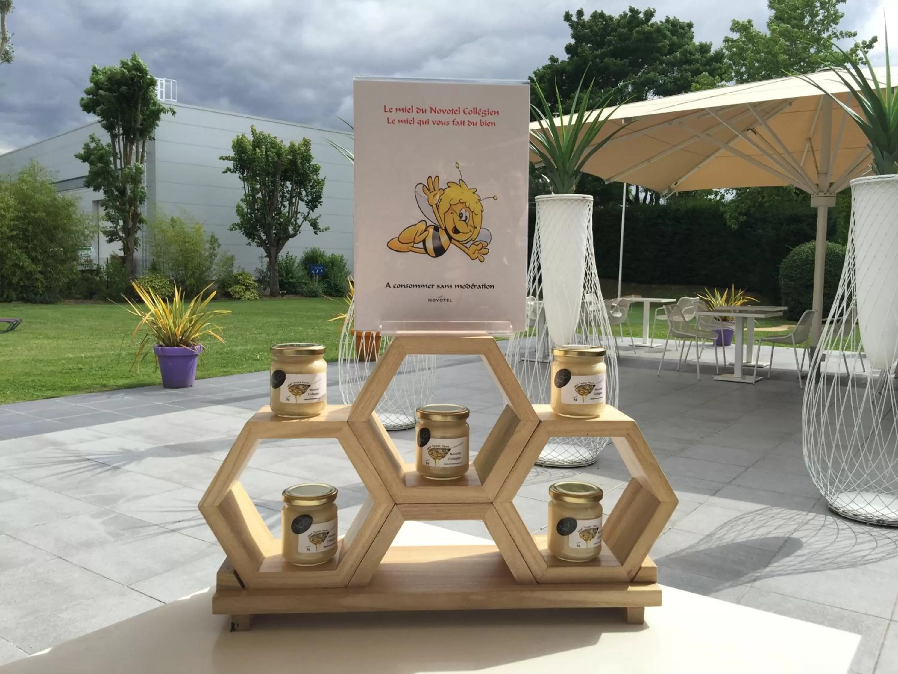 Balcony/Terrace in Novotel Marne La Vallée Collégien