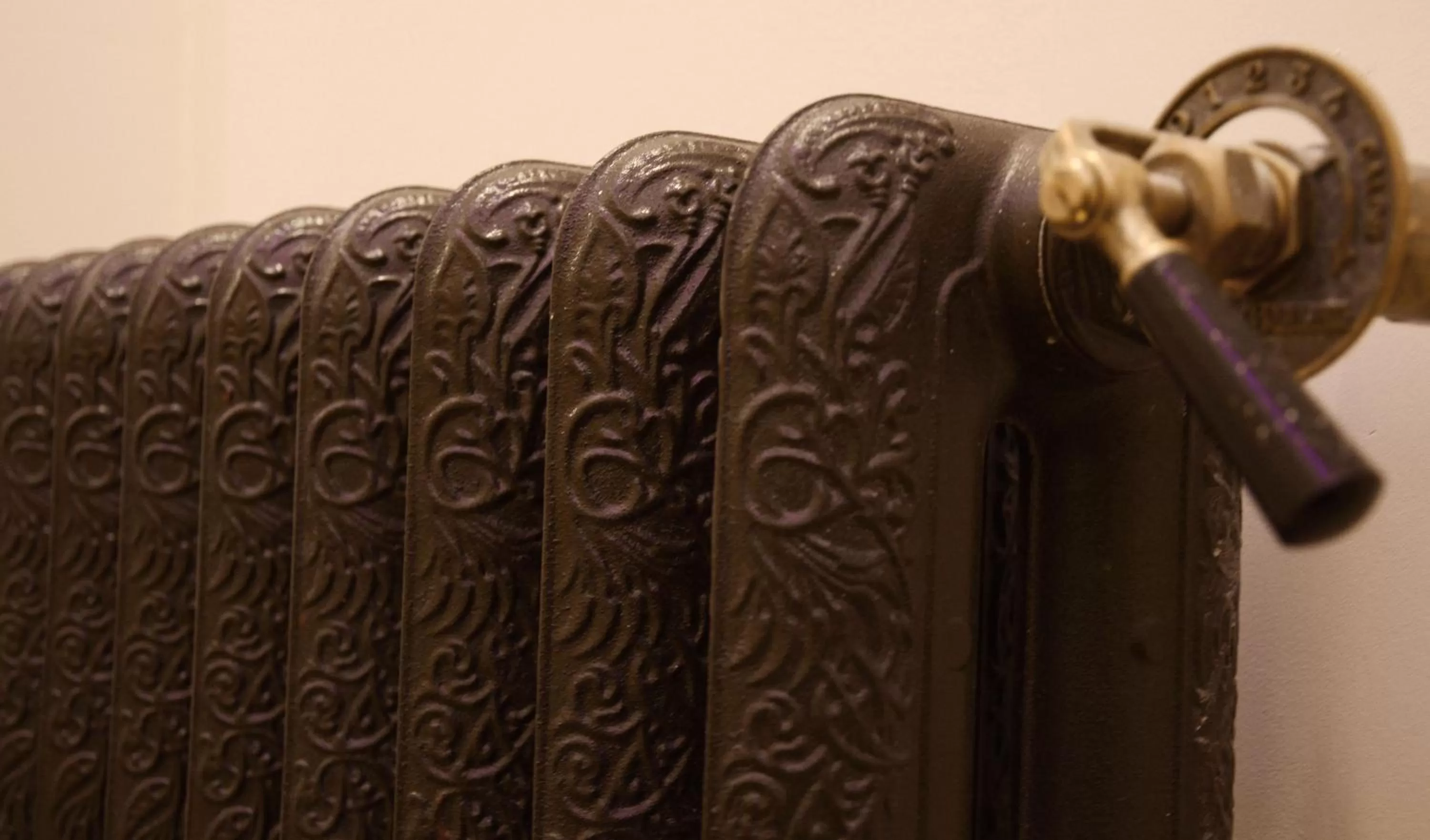 Arbia Dorka Heritage Palace