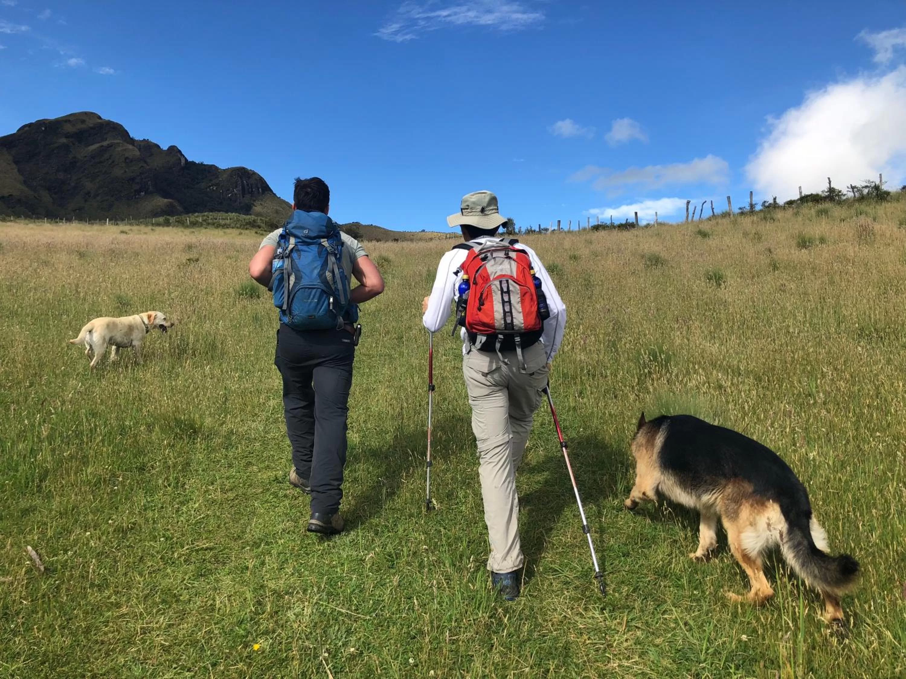 Hosteria Papagayo Cotopaxi