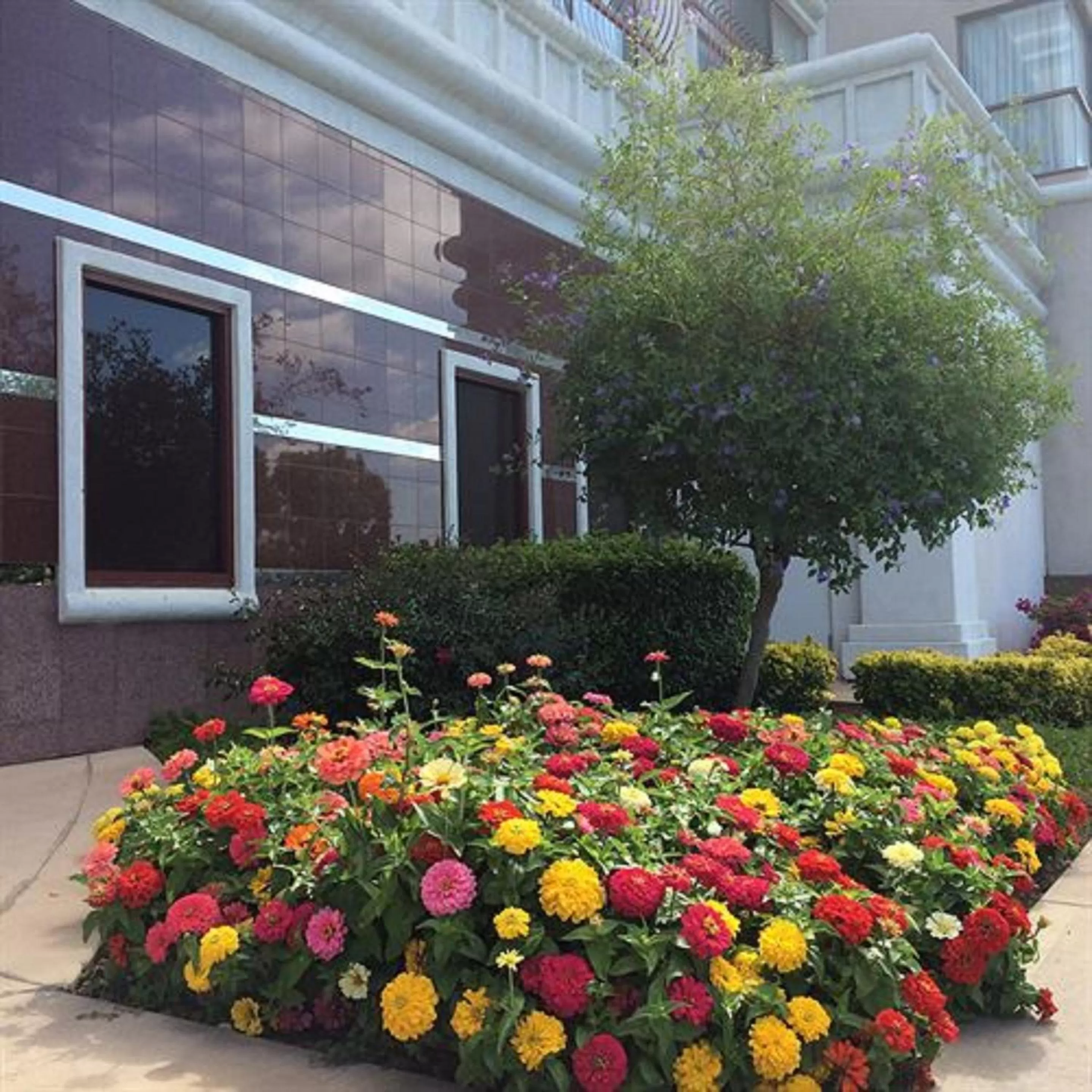 Garden in Grand Hotel