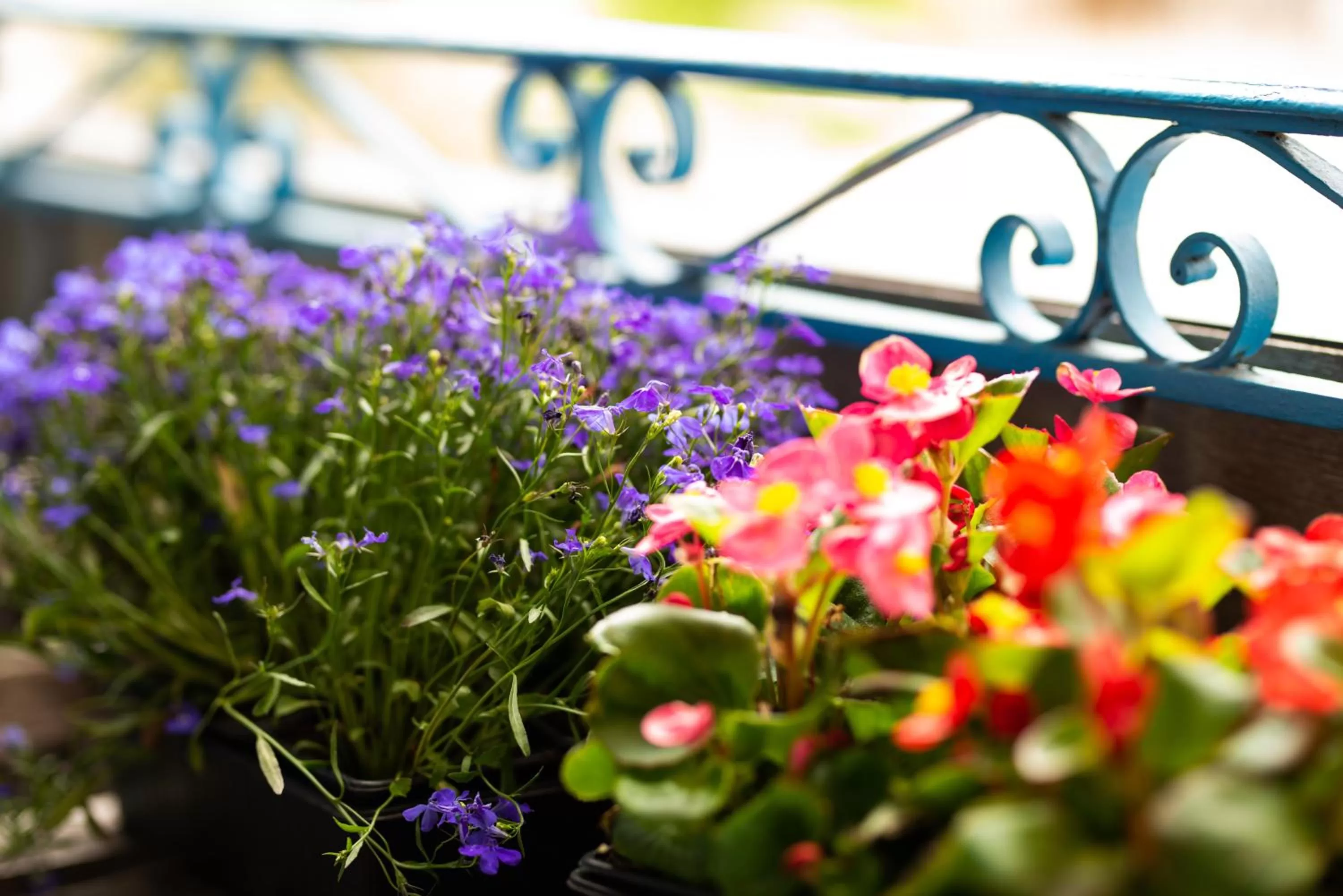 View (from property/room) in Le palais, hôtel - restaurant