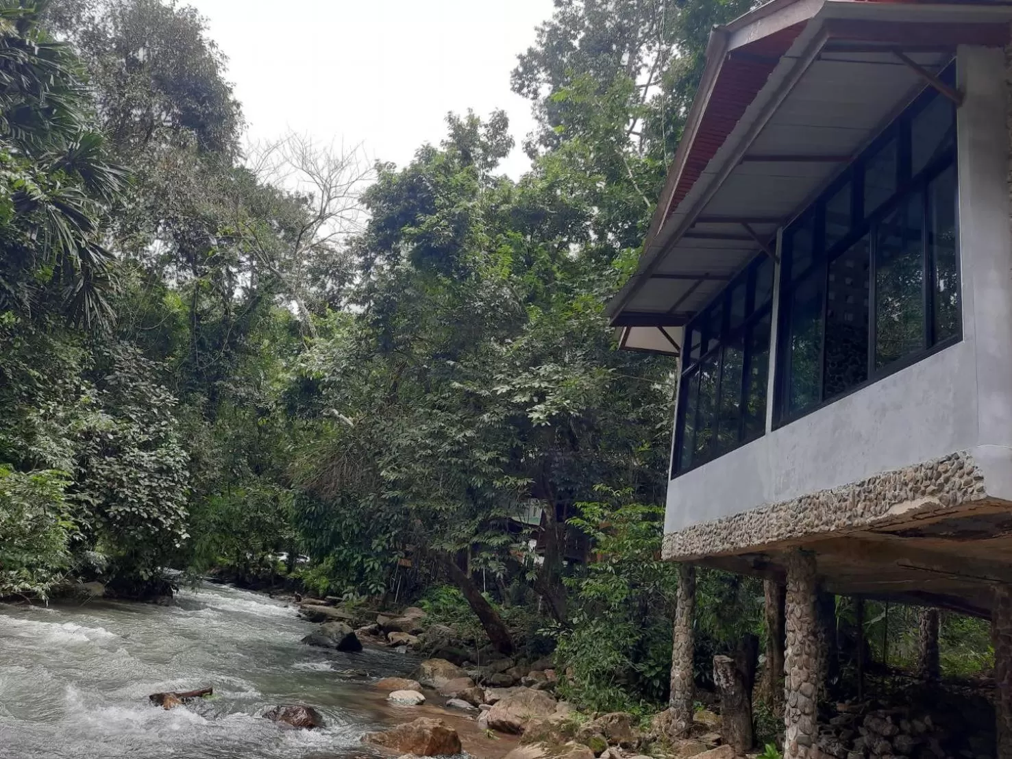 Tree Tops River Huts