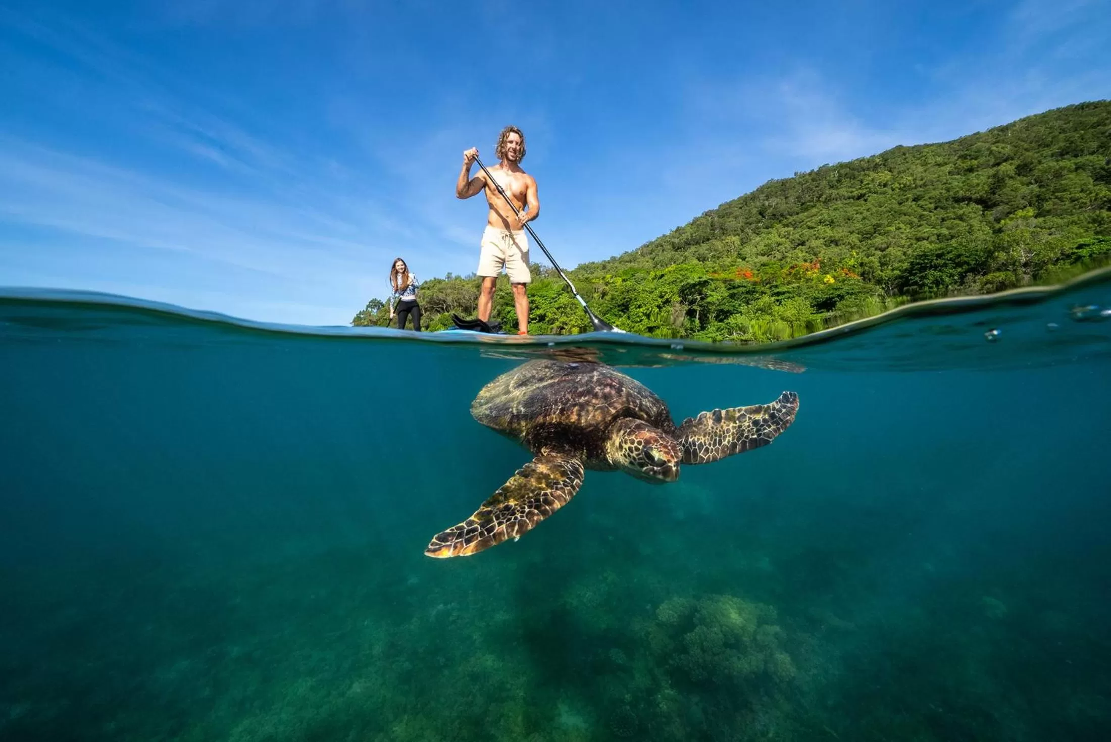 People in Fitzroy Island Resort
