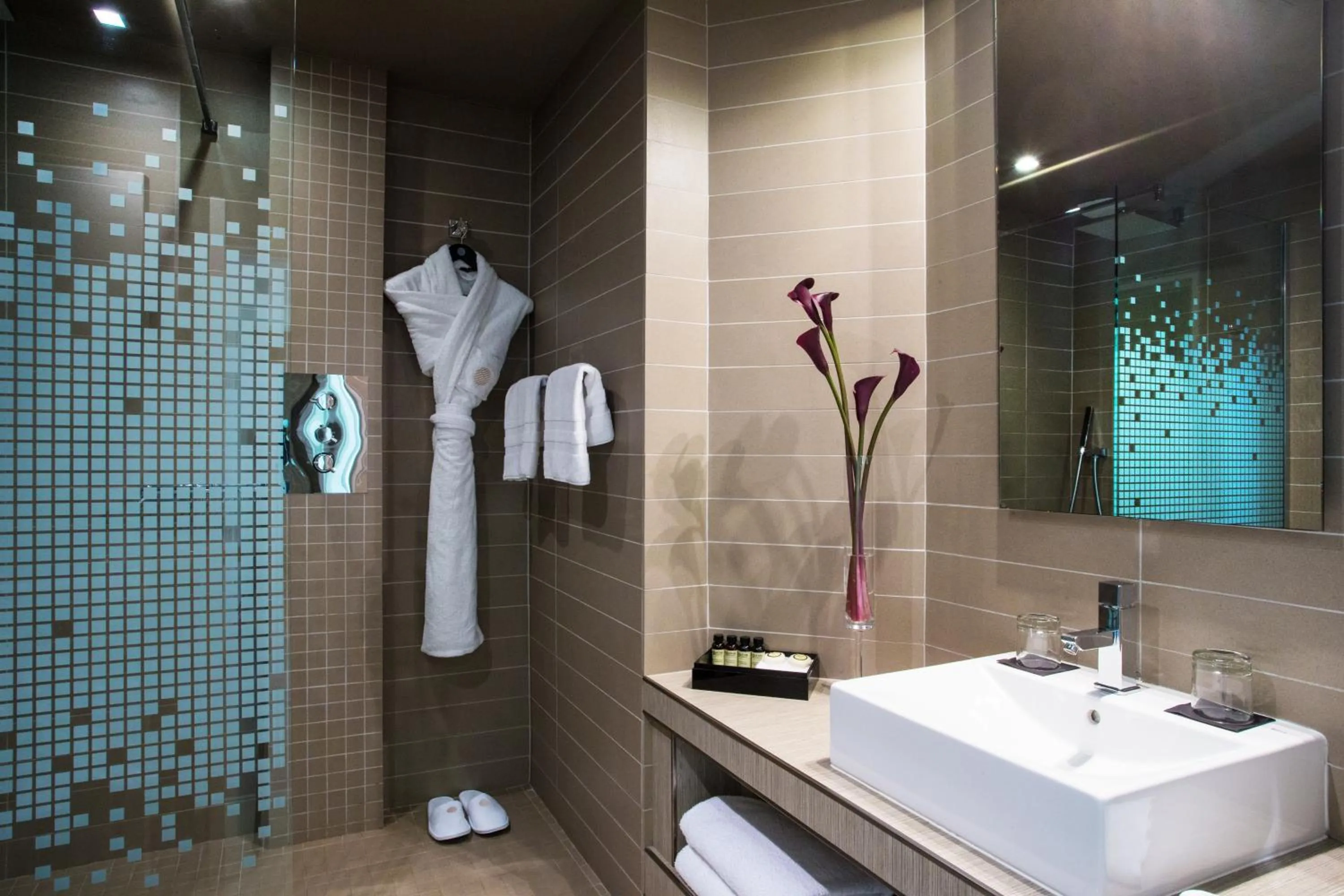 Superior Double Room in Pullman Toulouse Centre Ramblas