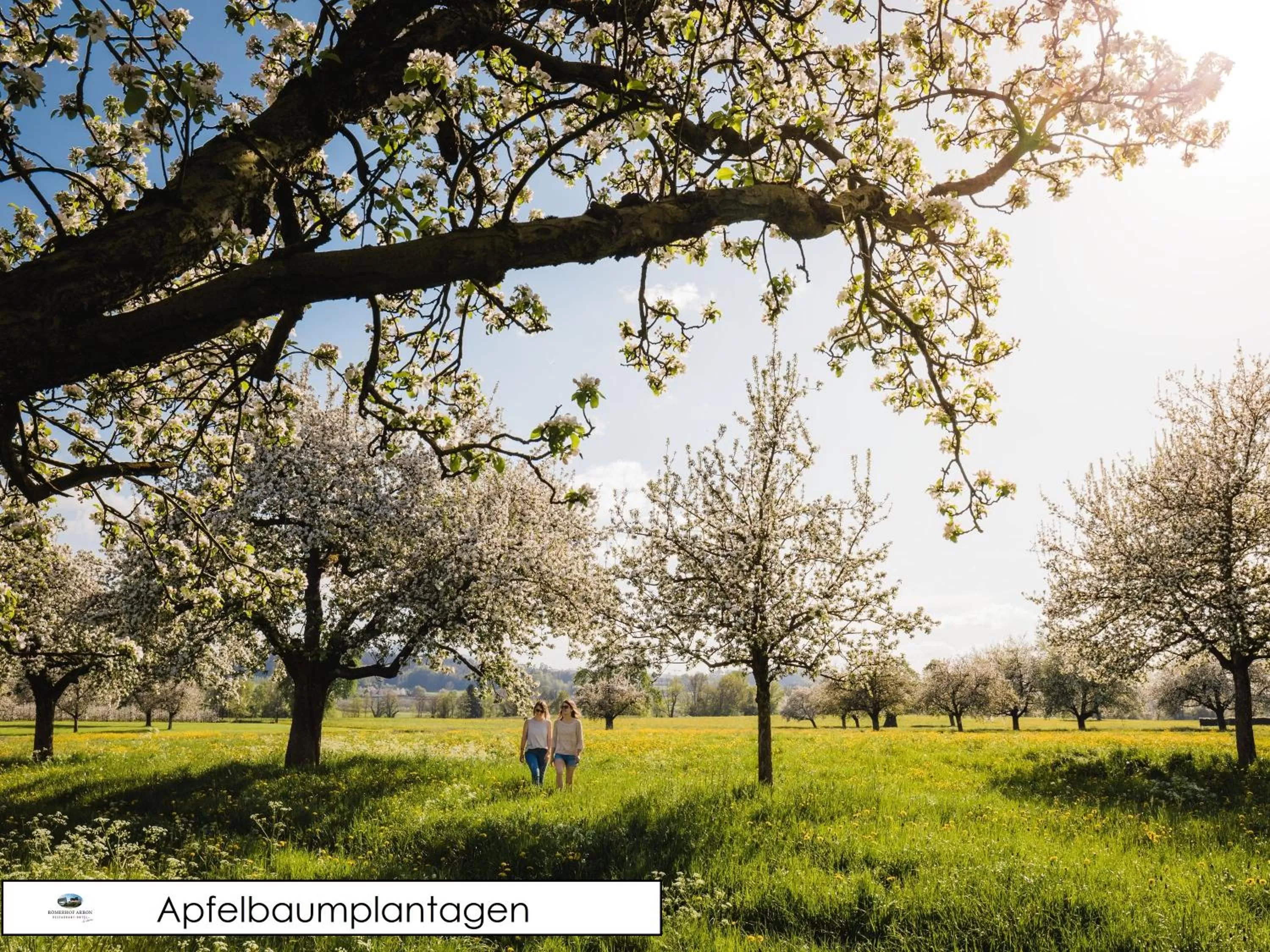 Sports in Hotel de Charme Römerhof
