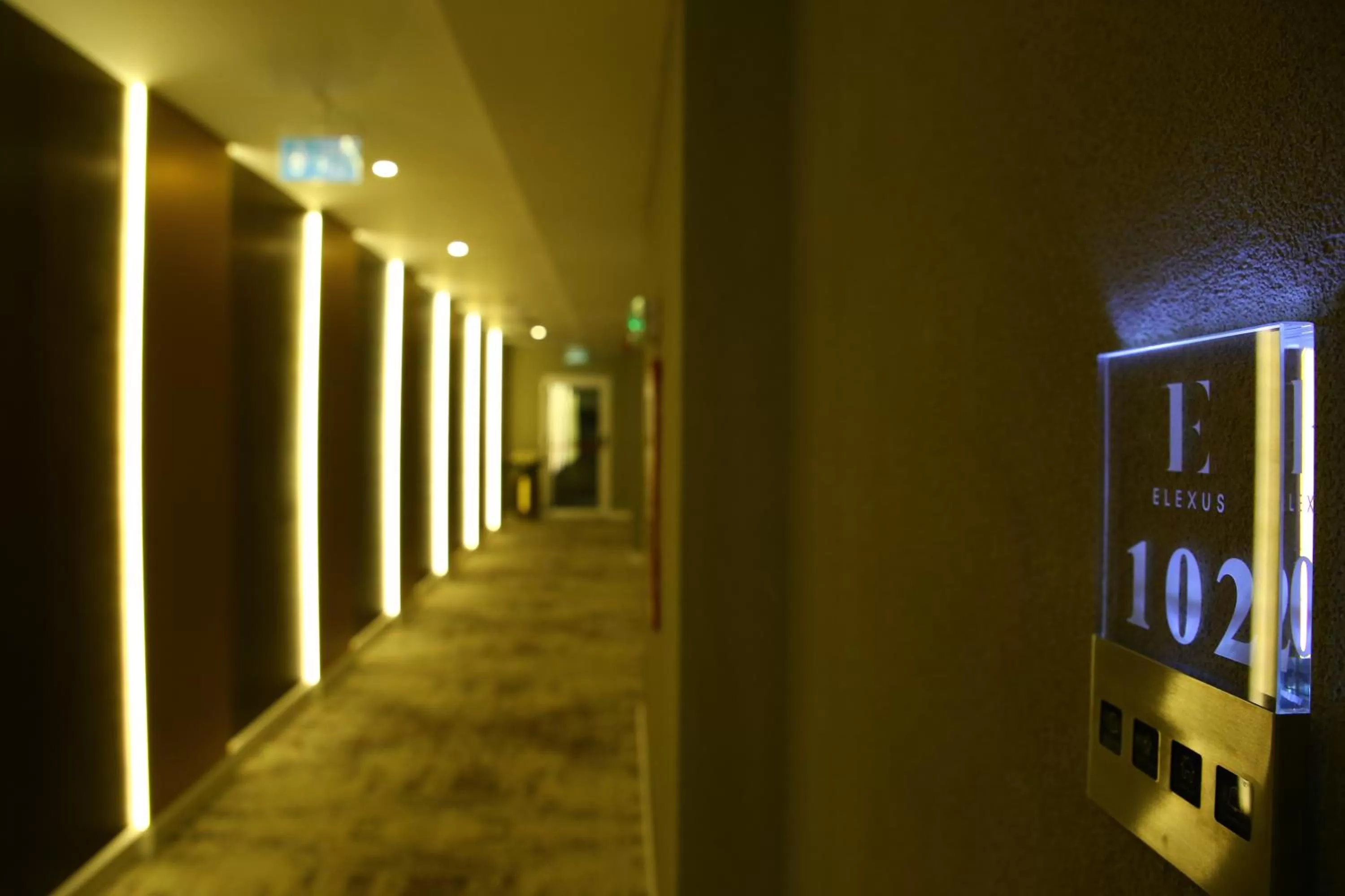 Property building in Elexus Predeal