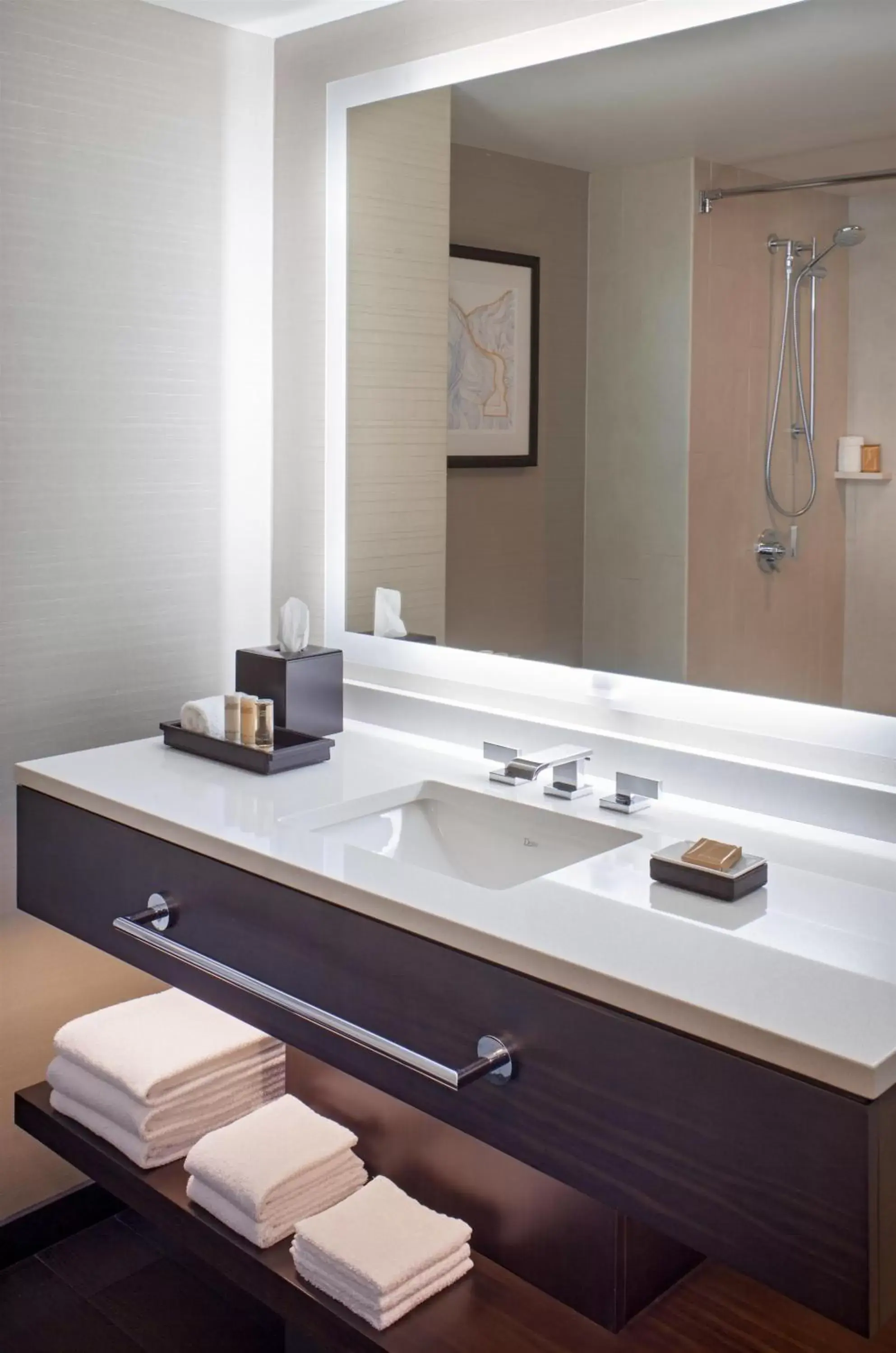 King Room with Accessible Shower - single occupancy - Disability Access in Grand Hyatt Denver King Room with Accessible Shower - single occupancy - Disability Access in Grand Hyatt Denver