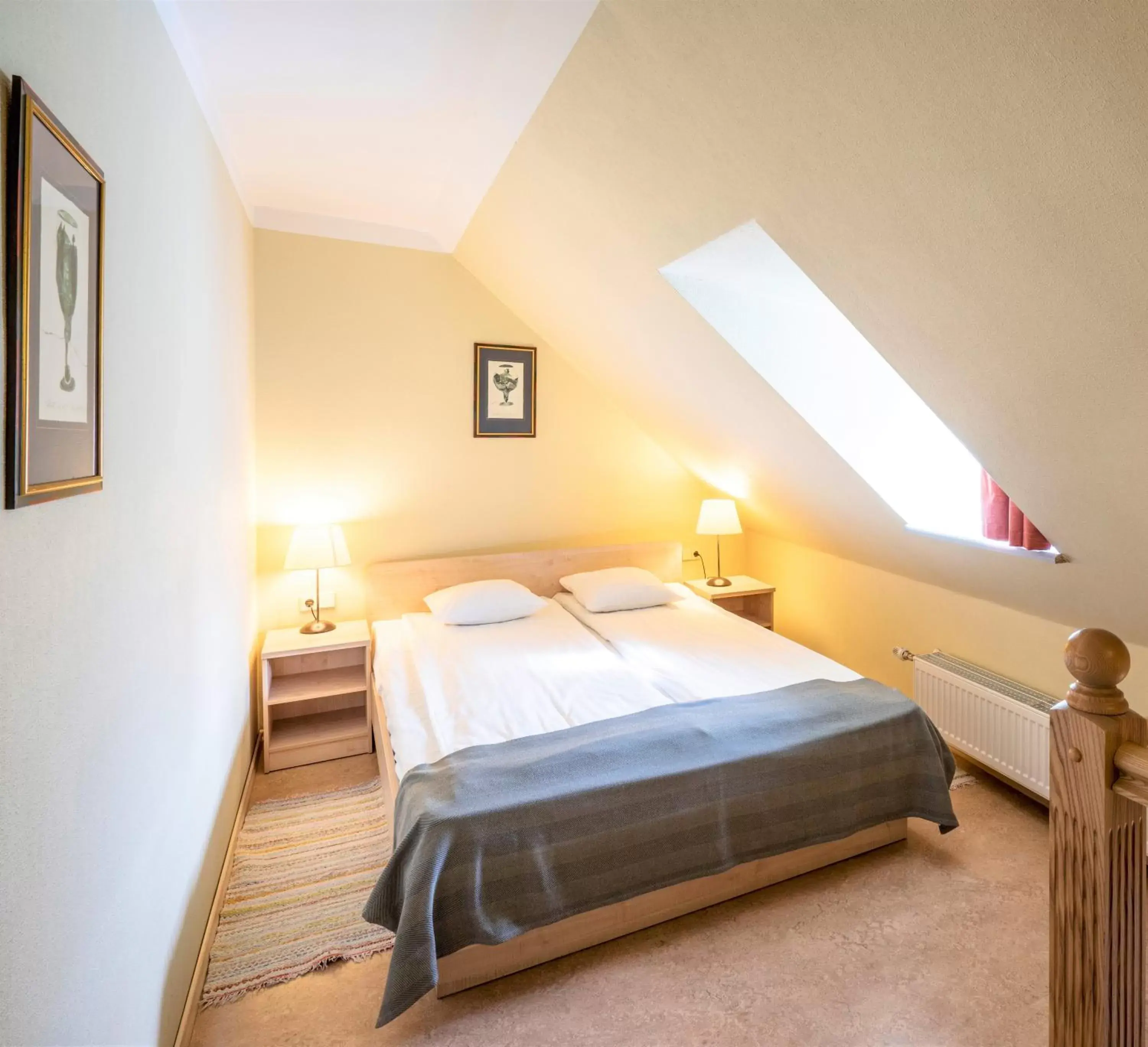 Rija Domus Hotel Rija Domus Hotel