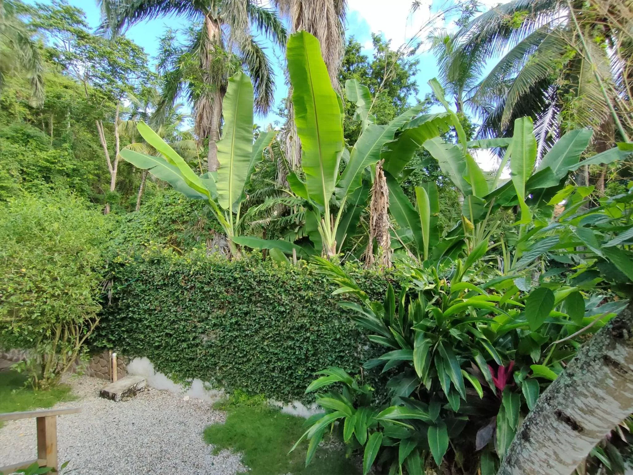 Balcony/Terrace in House Jardin Del Caribe