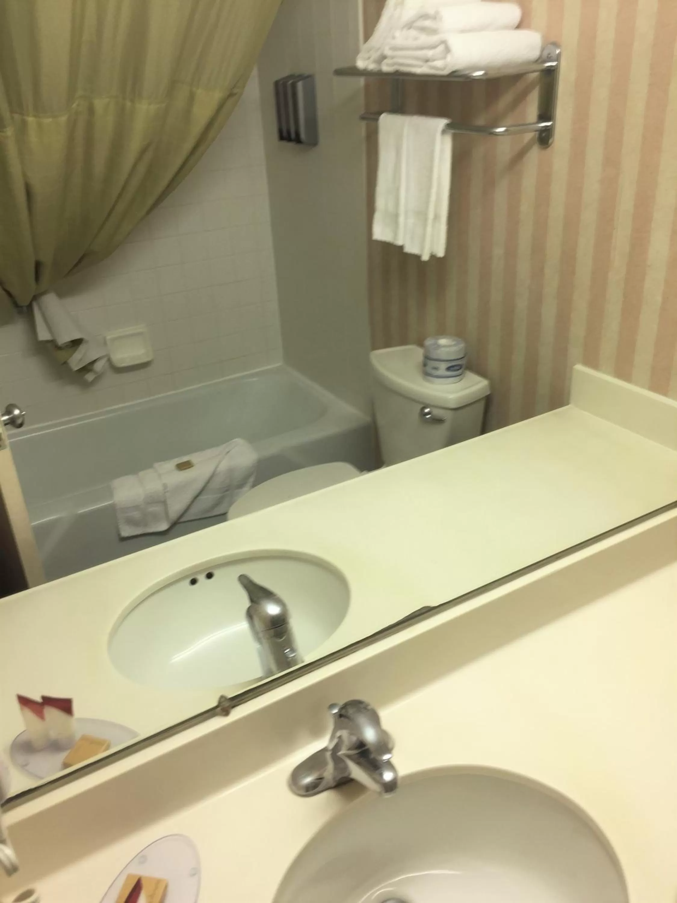 Shower in Americas Best Value Inn & Suites-Boise