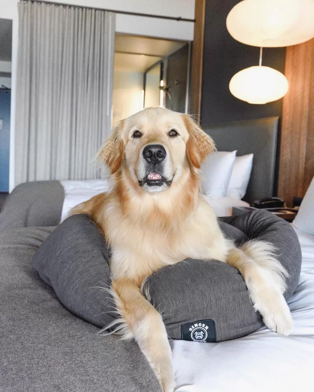 Headlands Coastal Lodge & Spa