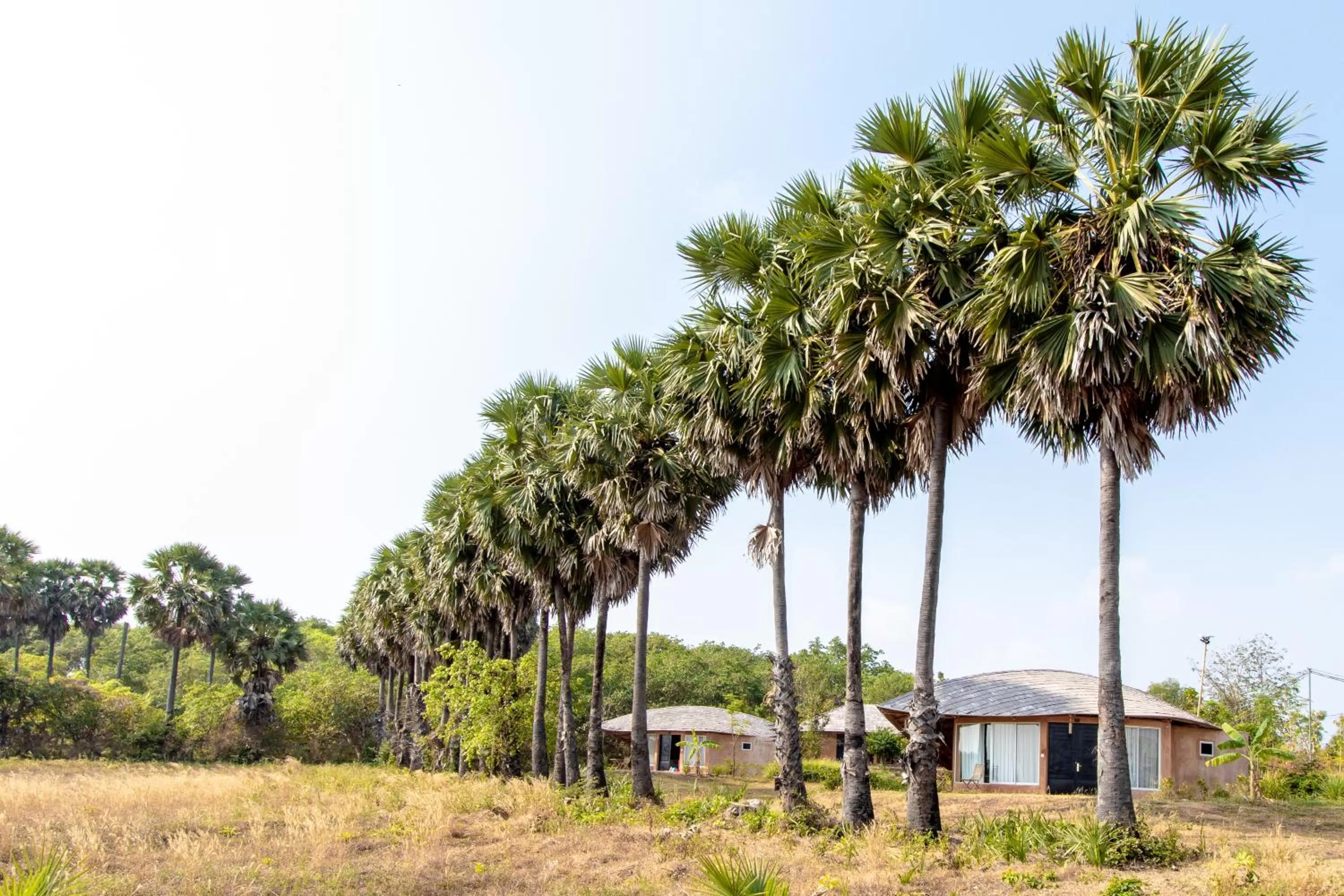 Hanchey Bamboo Resort