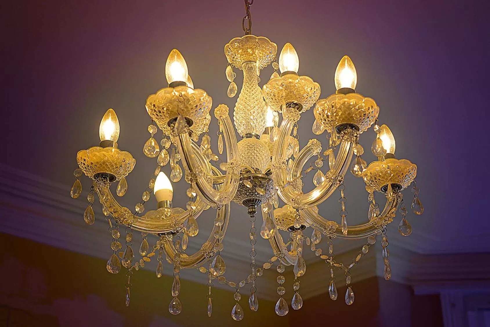 The Winter Garden Suites