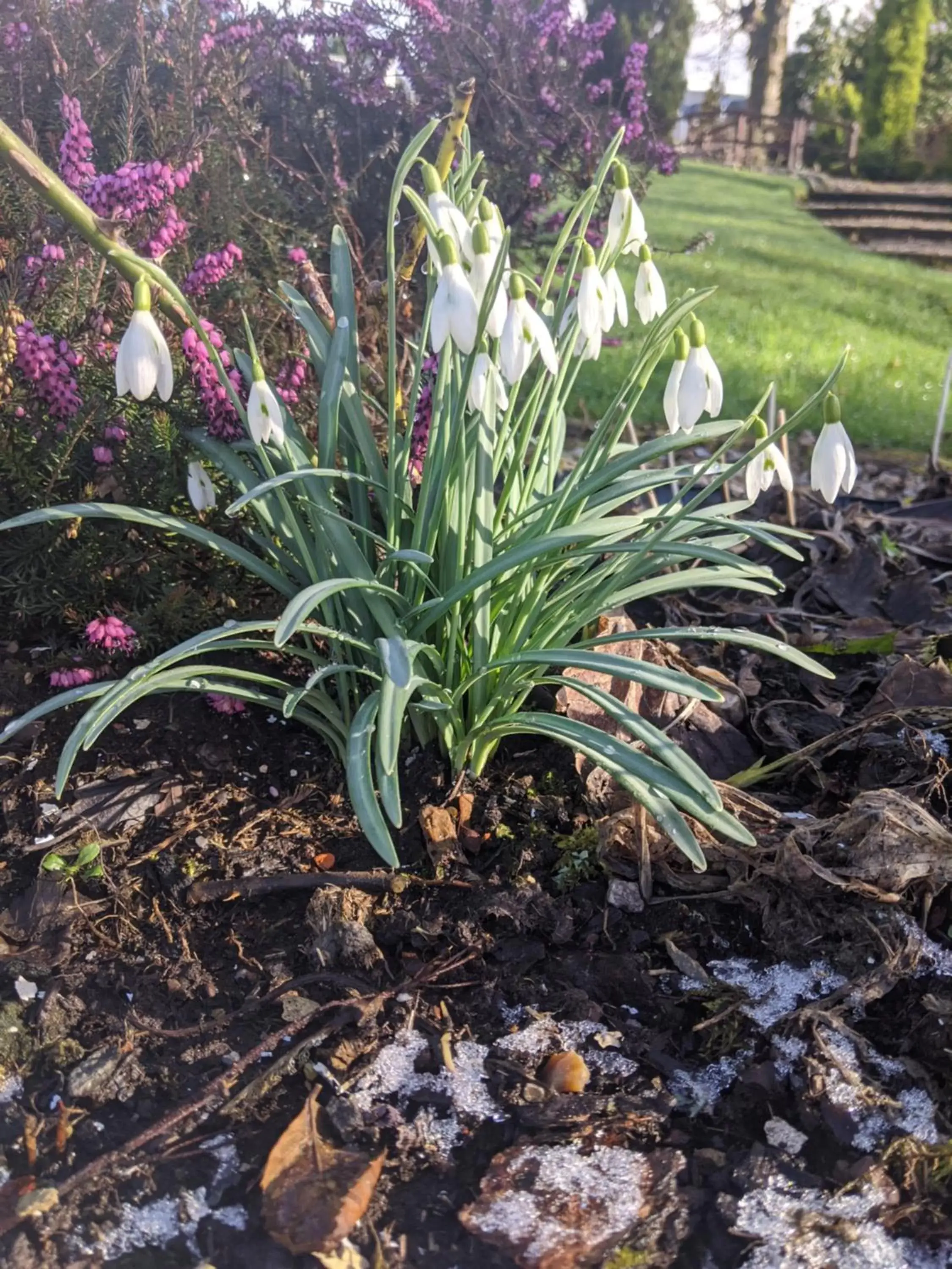 Glazert Country House Hotel Glazert Country House Hotel