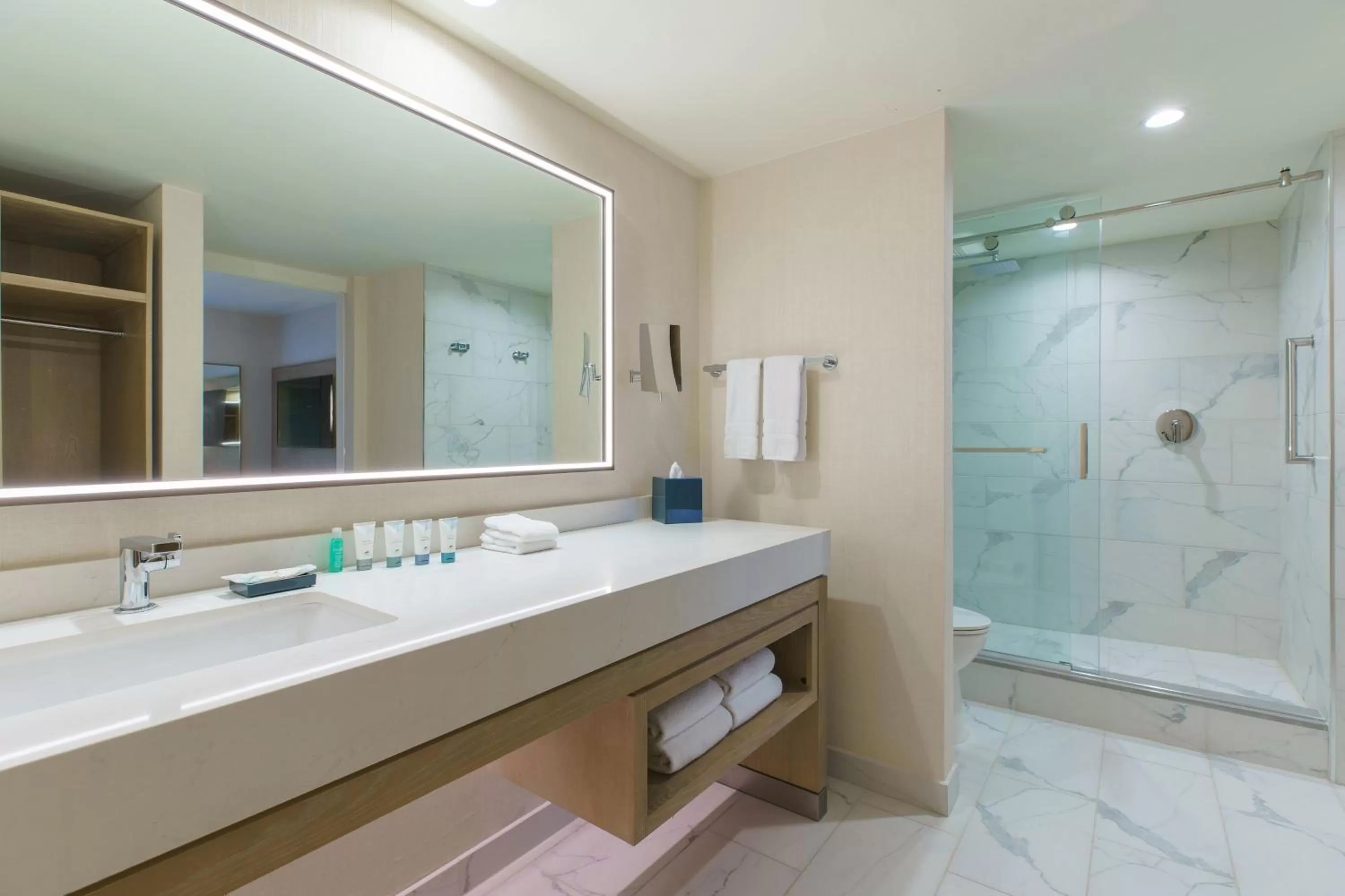 Bathroom in The Westin O'Hare