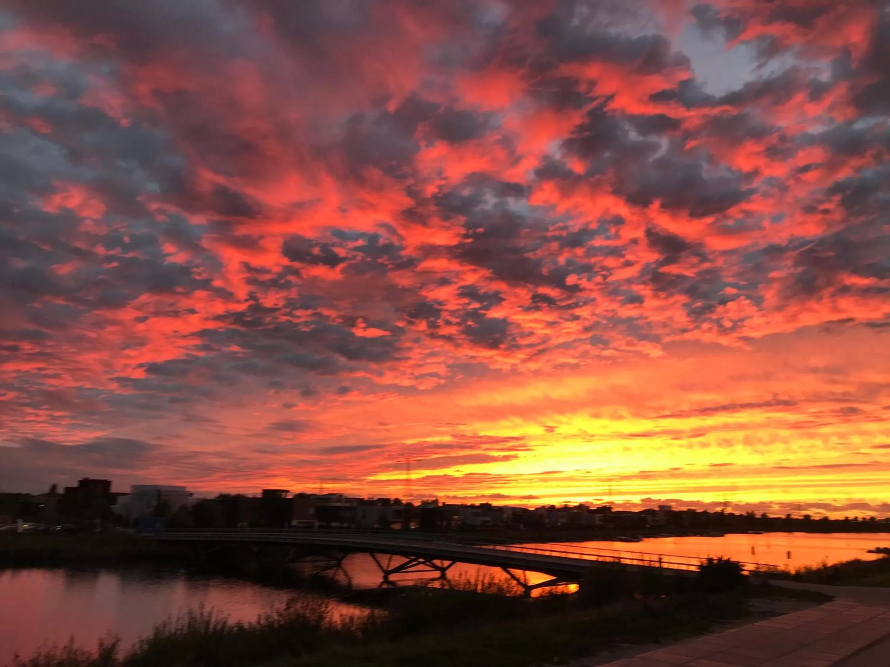 Natural landscape in Waterfront Studio