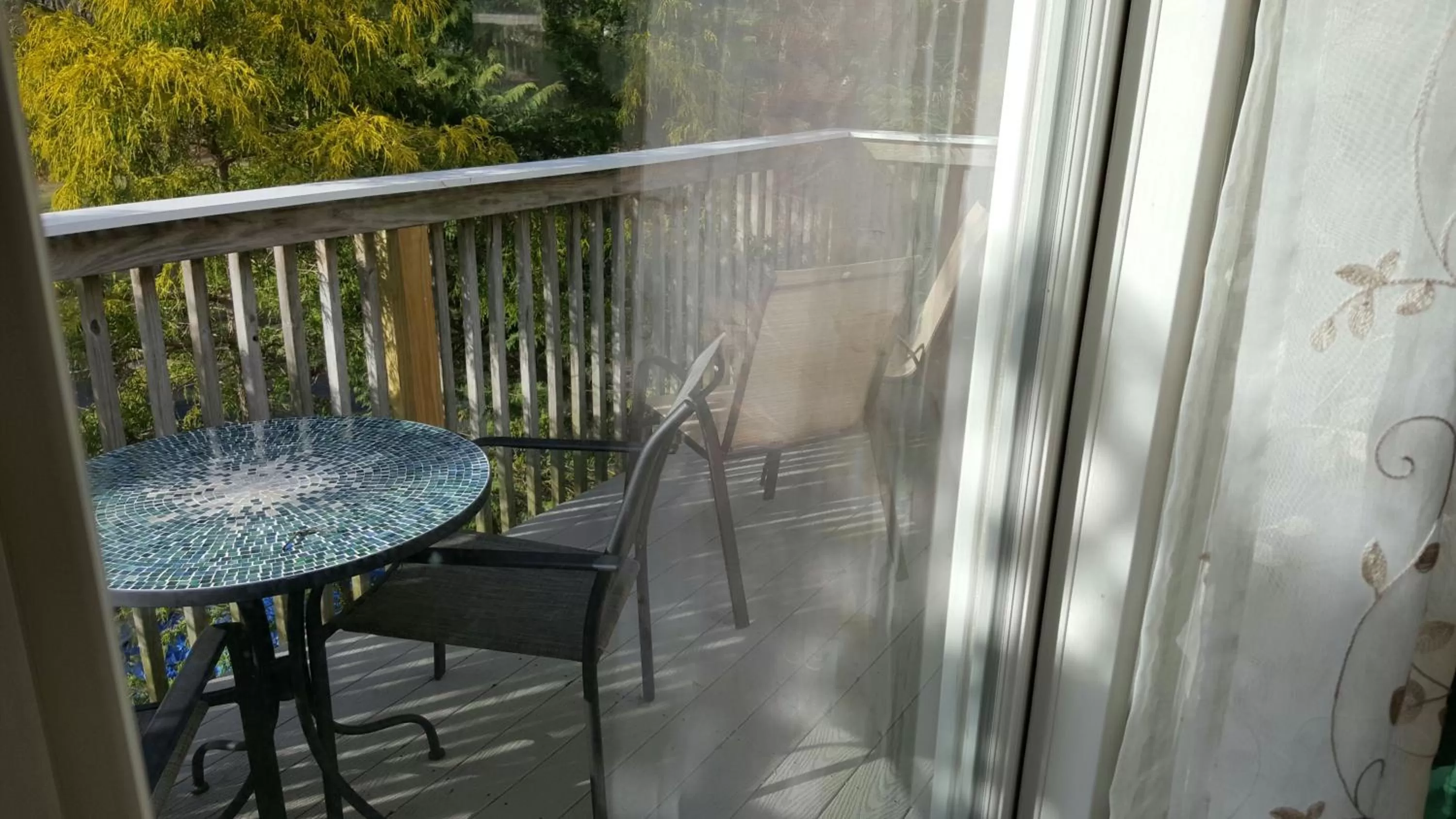 View (from property/room) in Starlight Lodge Cape Cod