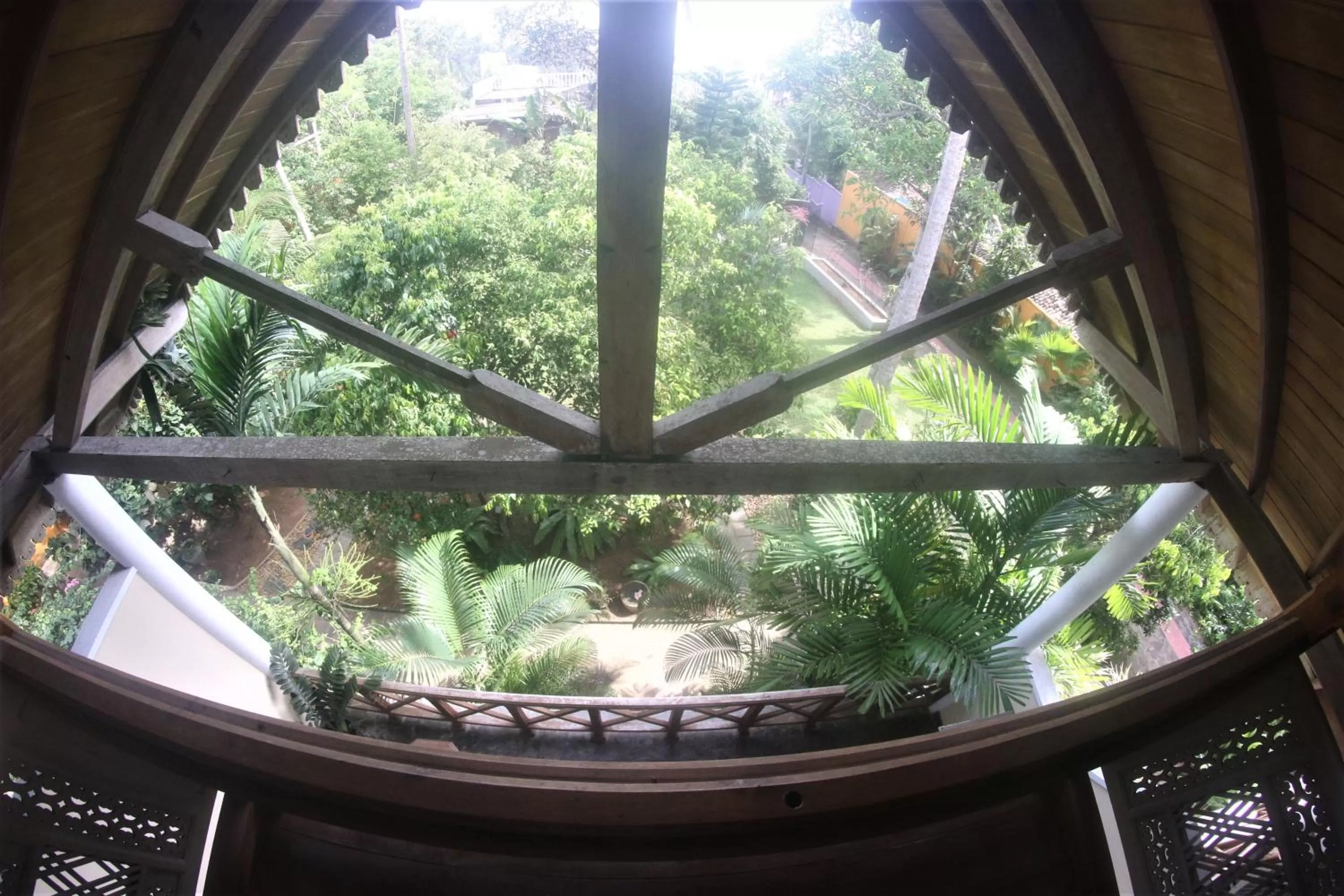 Garden view, View in The Spice House Mirissa