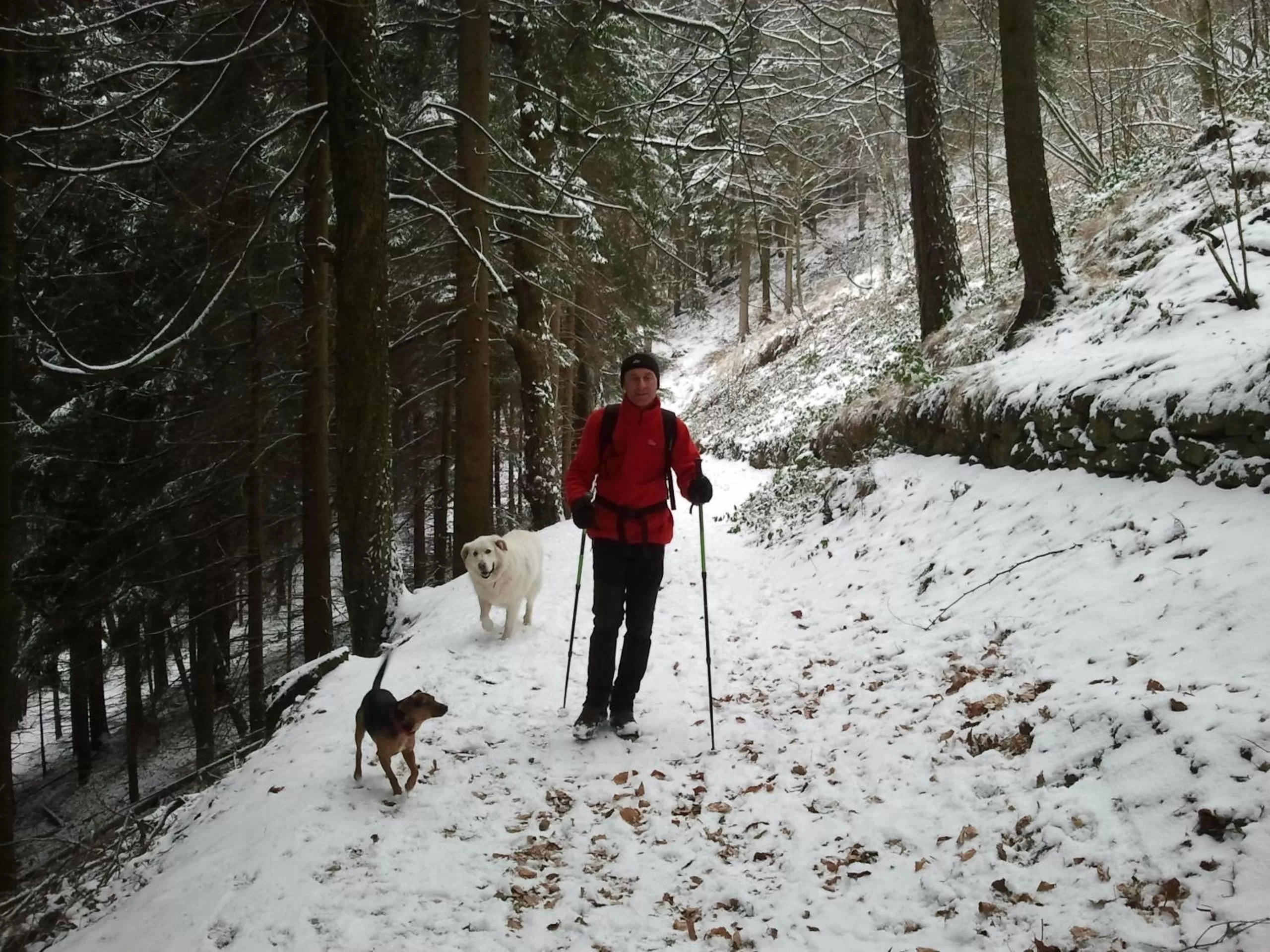 Winter in B&B Villa Tavallini