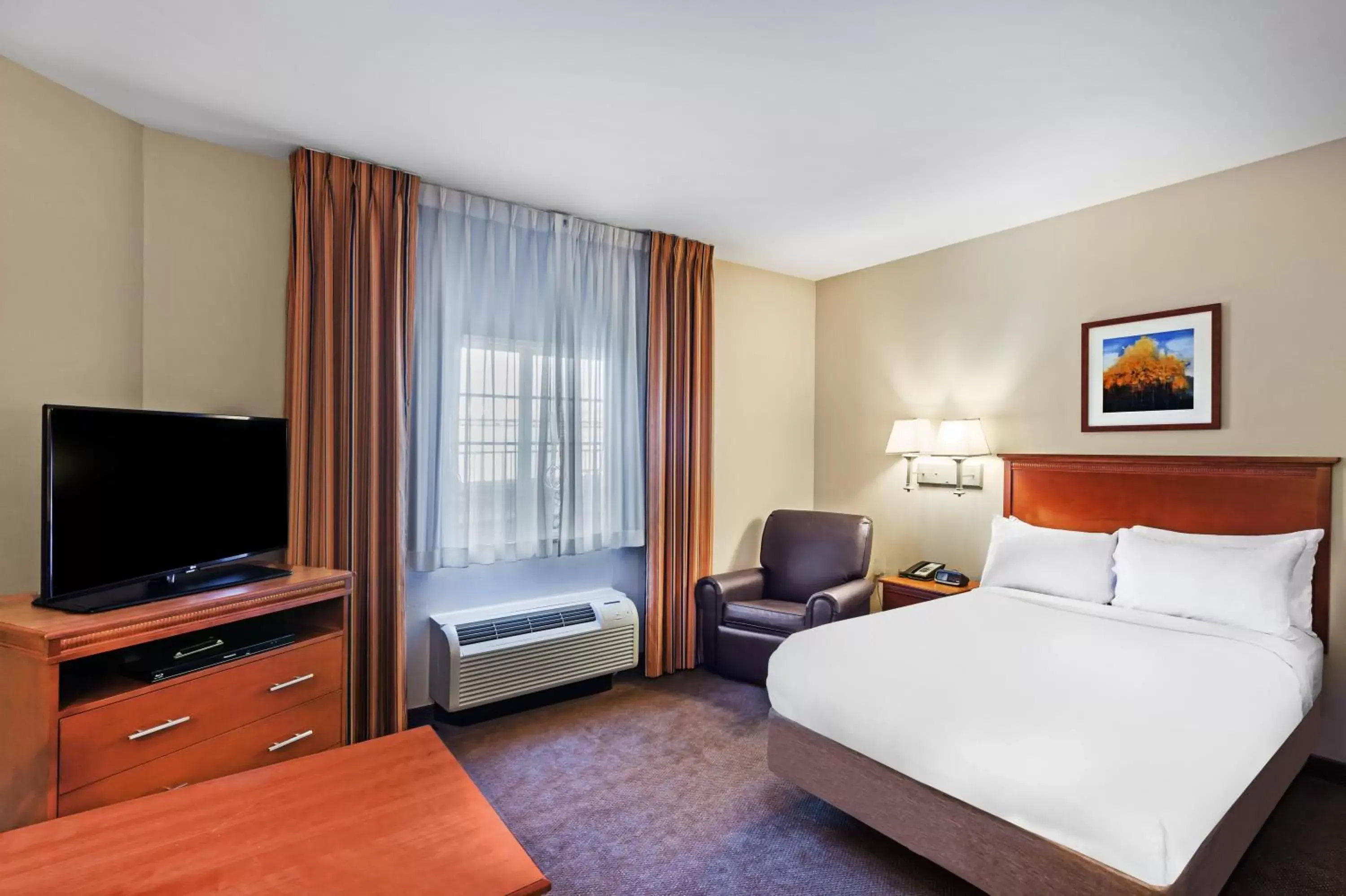 Queen Studio in Candlewood Suites El Paso by IHG Queen Studio in Candlewood Suites El Paso by IHG