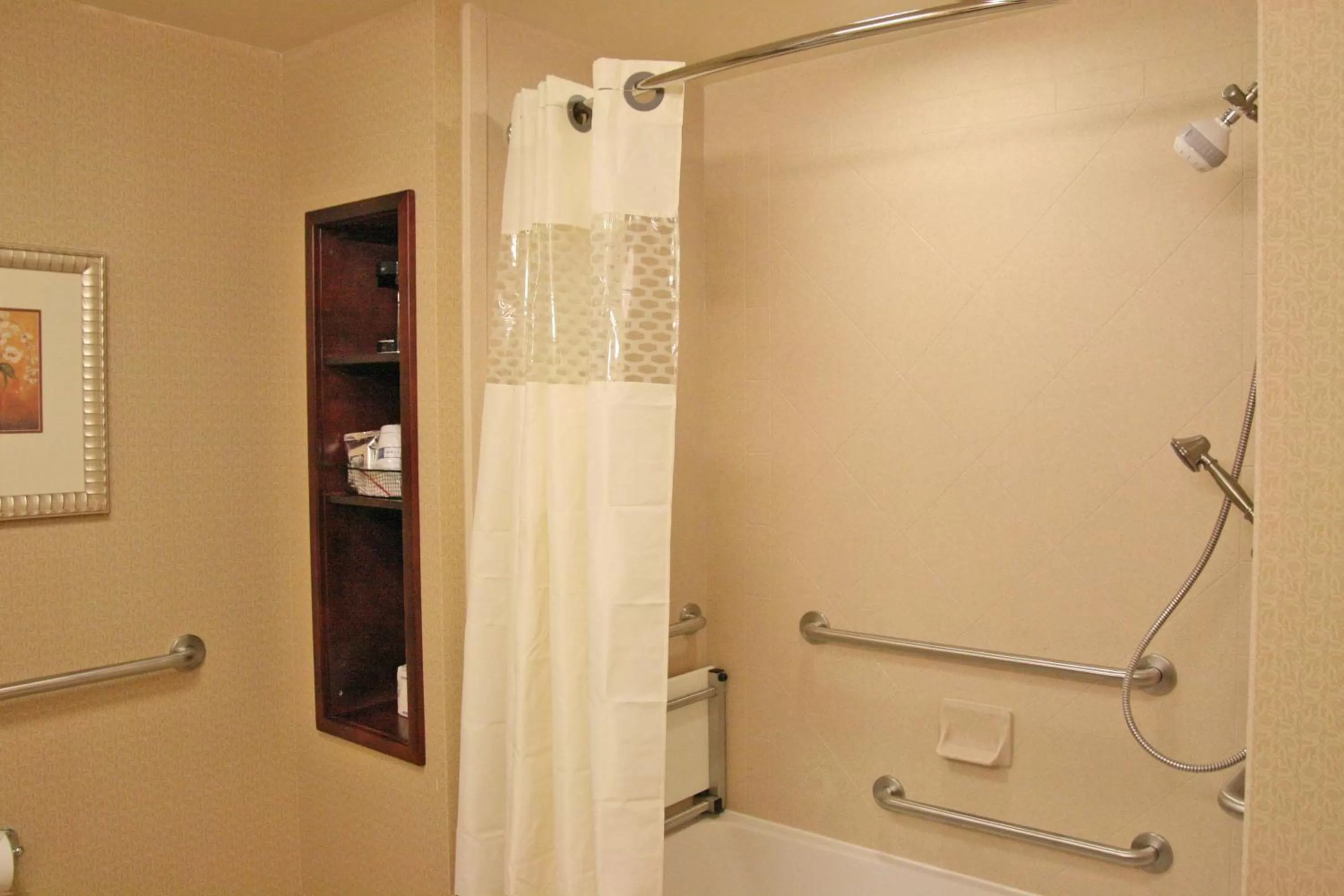 Bathroom in Hampton Inn & Suites Indianapolis-Airport