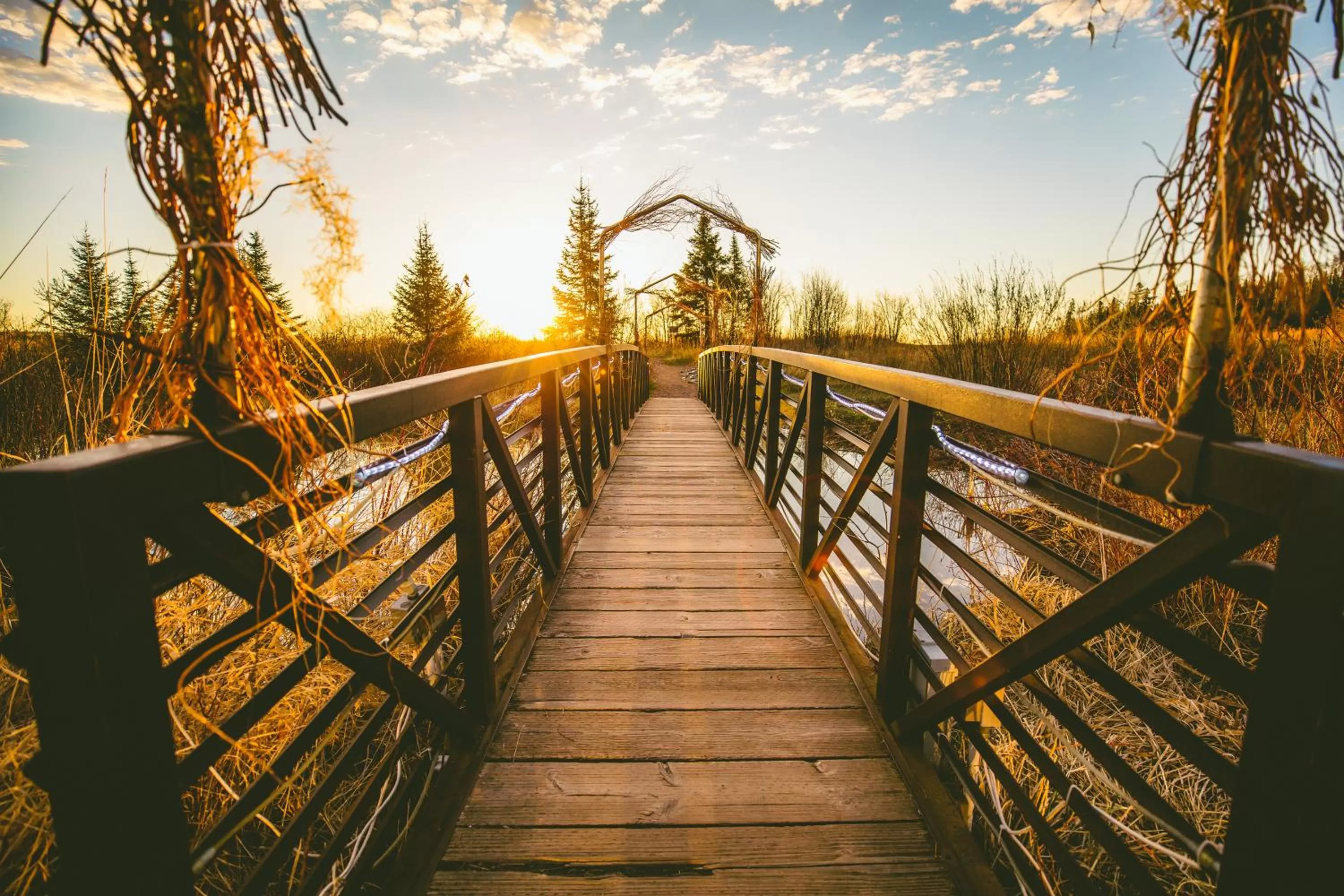Natural landscape in Superior Shores Resort