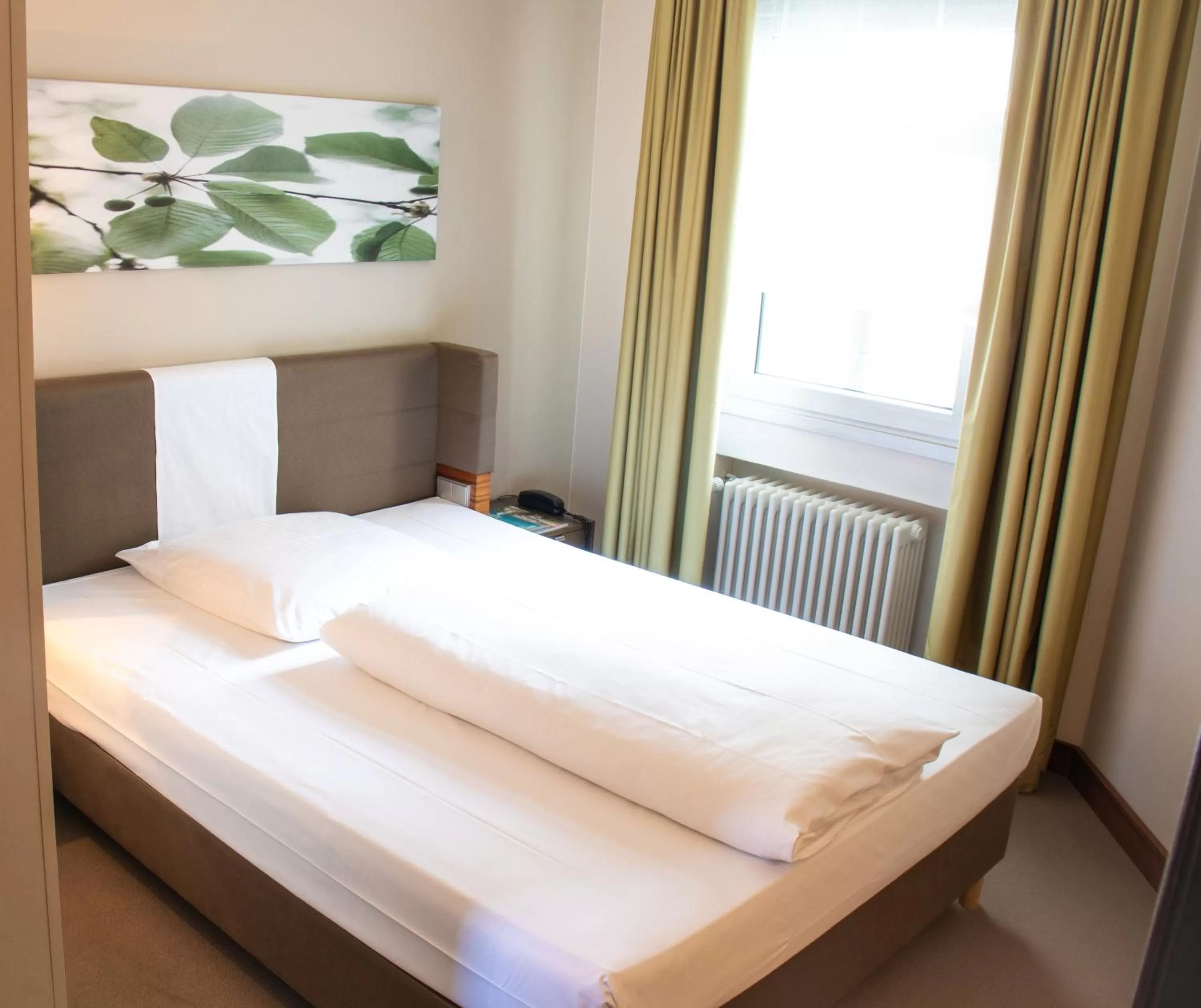 Single Room in Hotel Ritter Durbach