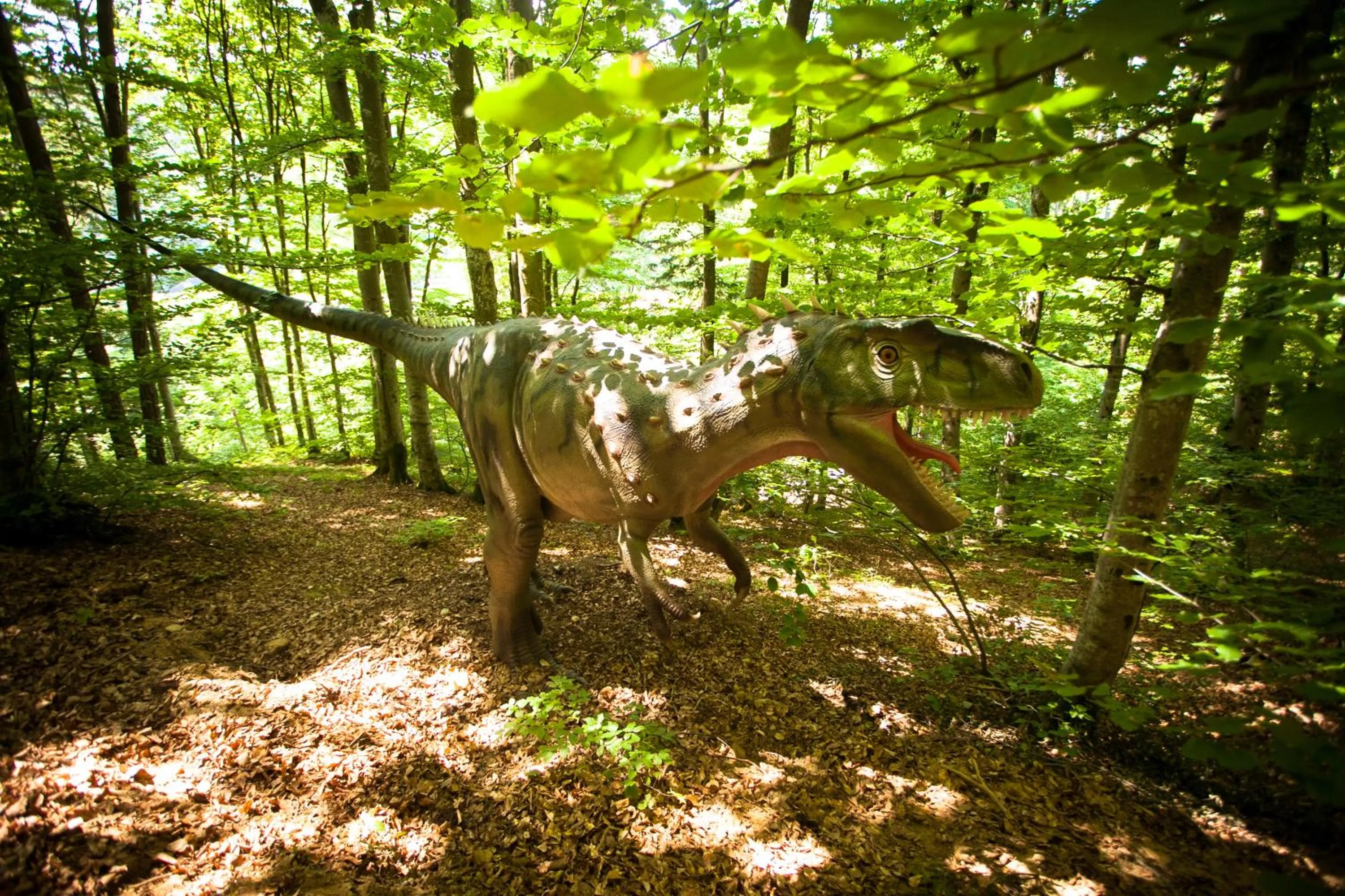 Animals in Lux Garden Hotel