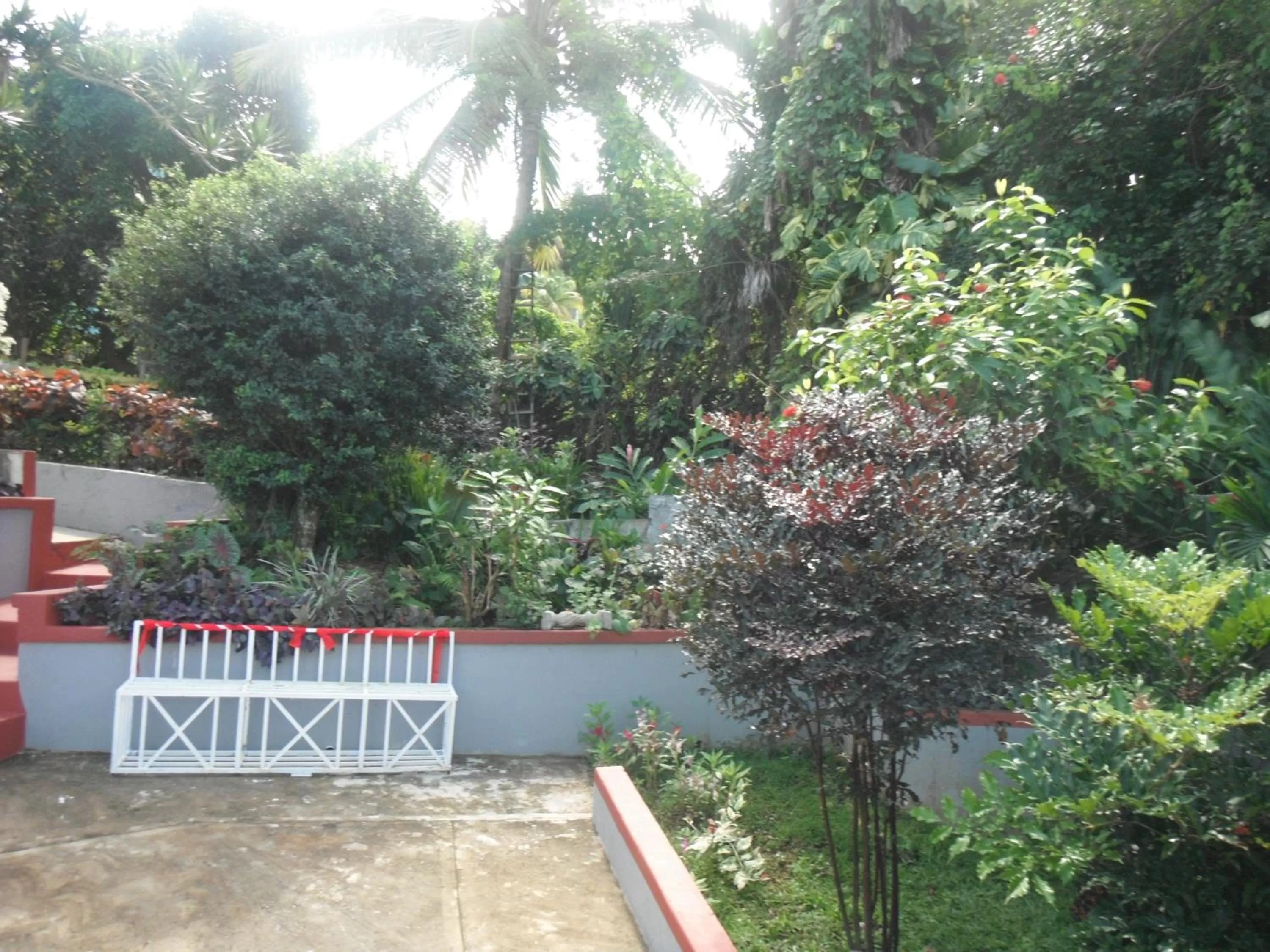 Bird's eye view in Classique International in Dominica